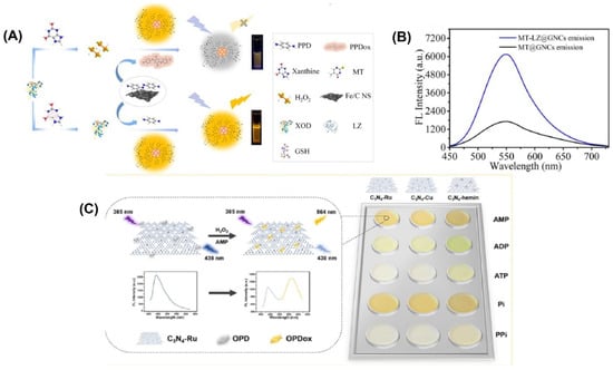 Biosensors | Free Full-Text | Nanozymes Towards Personalized ...