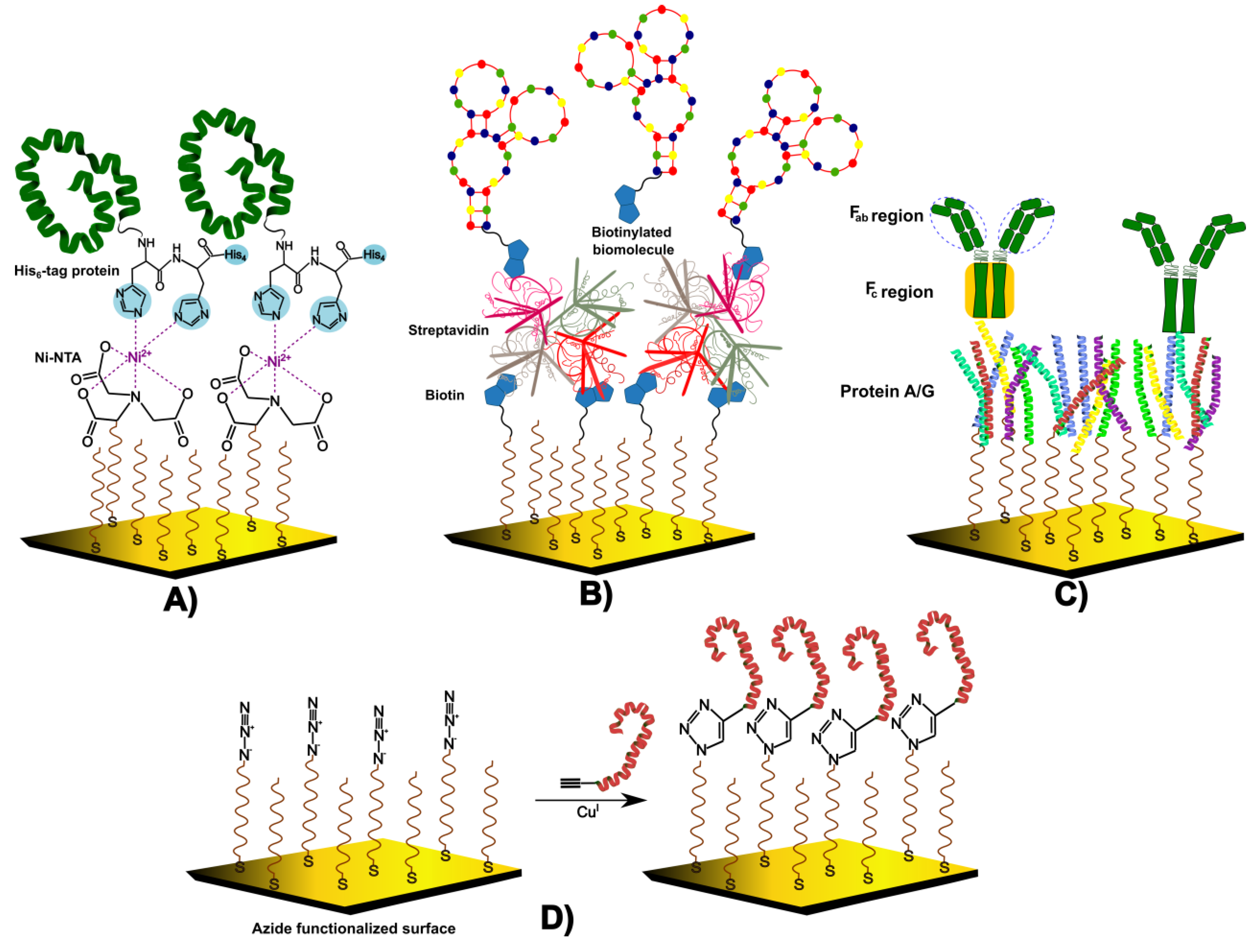 Biosensors 13 00465 g004 Biosensors 13 00465 g004