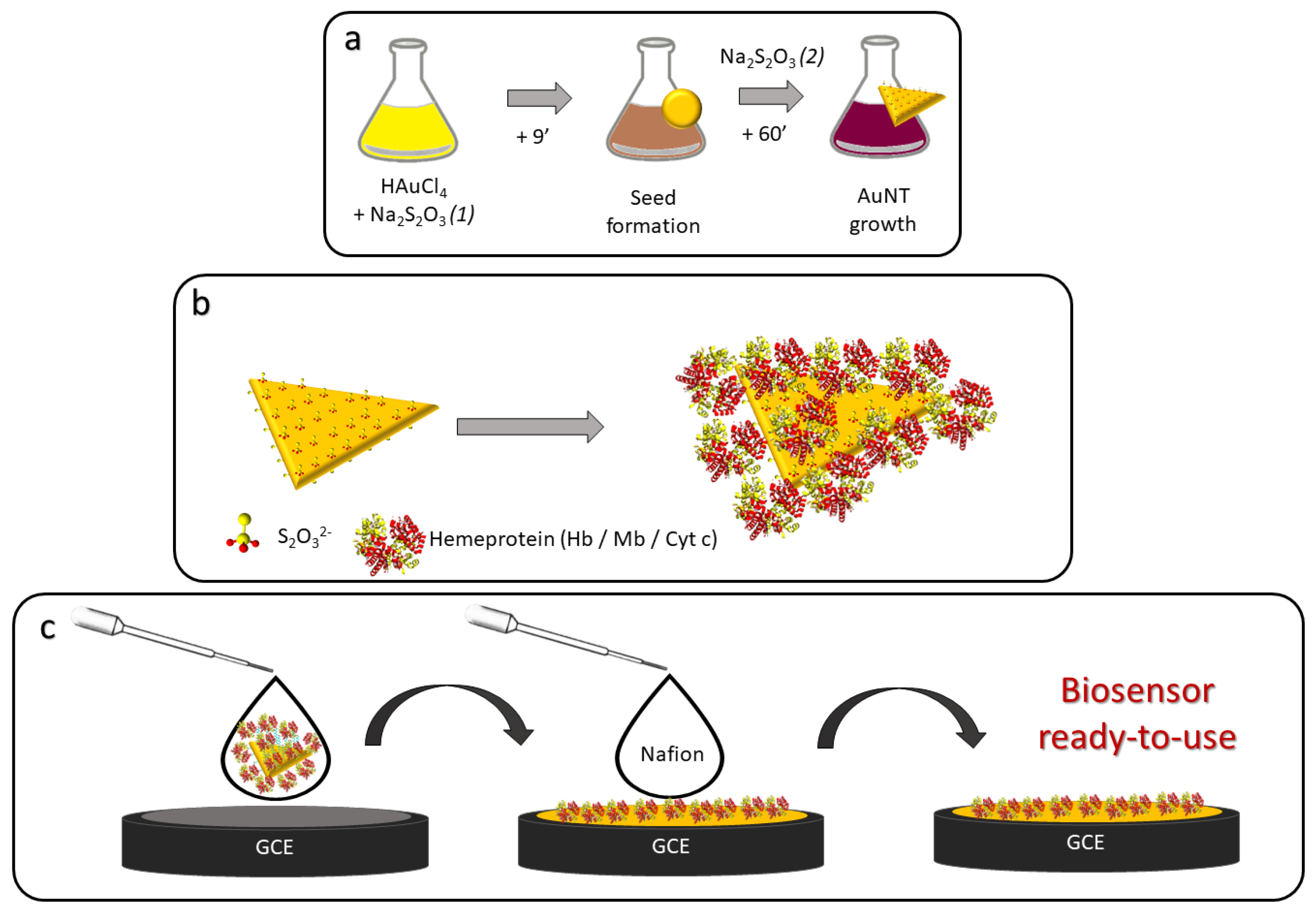 Biosensors 13 00467 sch001