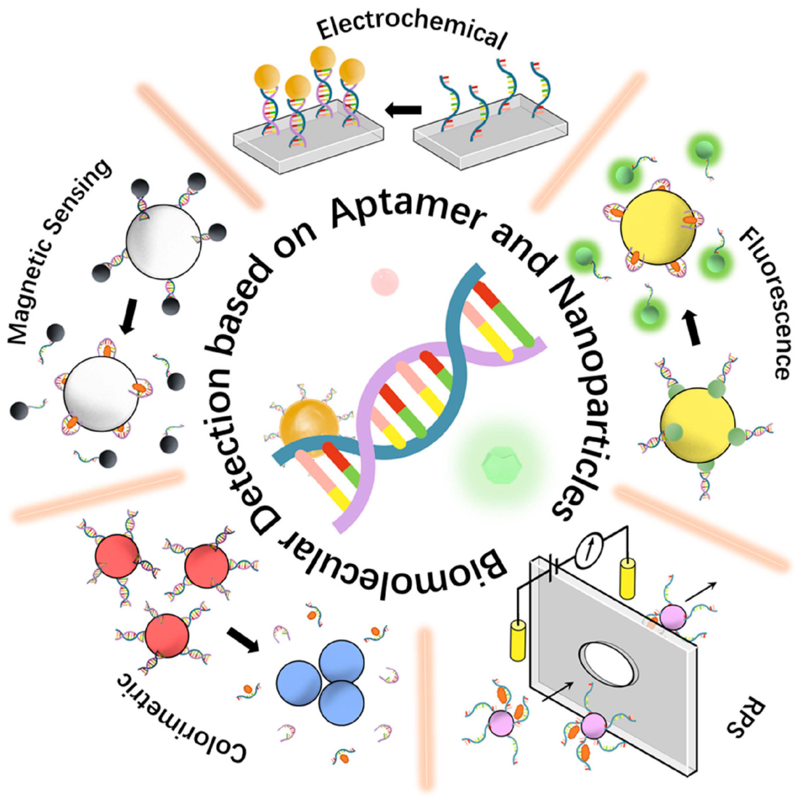 Nanoparticle-Based Immunochemical Biosensors and Assays: Recent