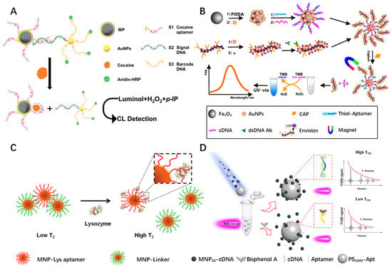 Biosensors Free Full Text Recent Advances In Biomolecular Detection Based On Aptamers And 3042