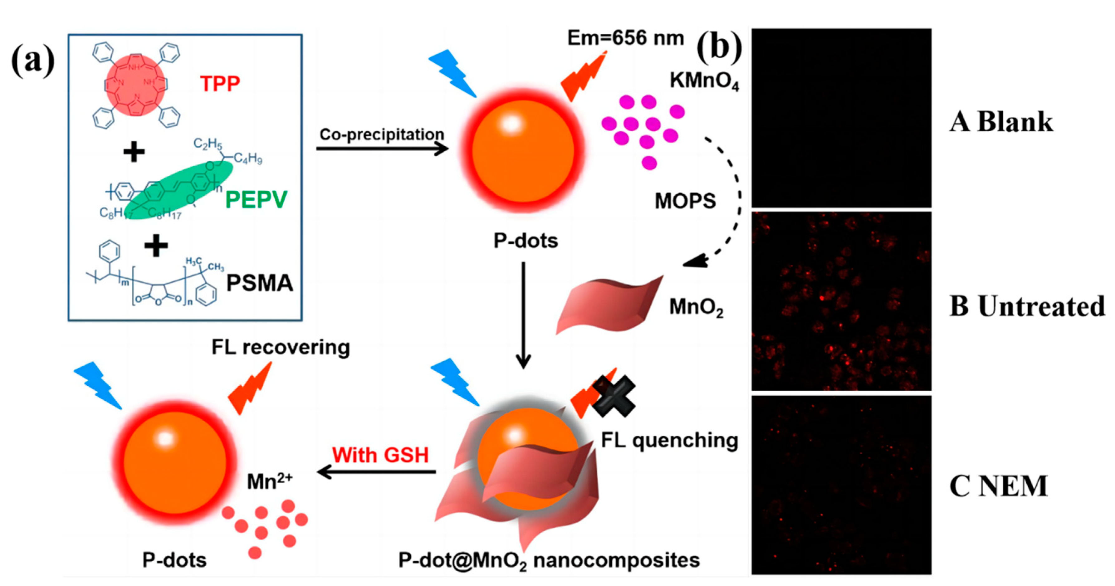 Biosensors 13 00494 g002 Biosensors 13 00494 g002