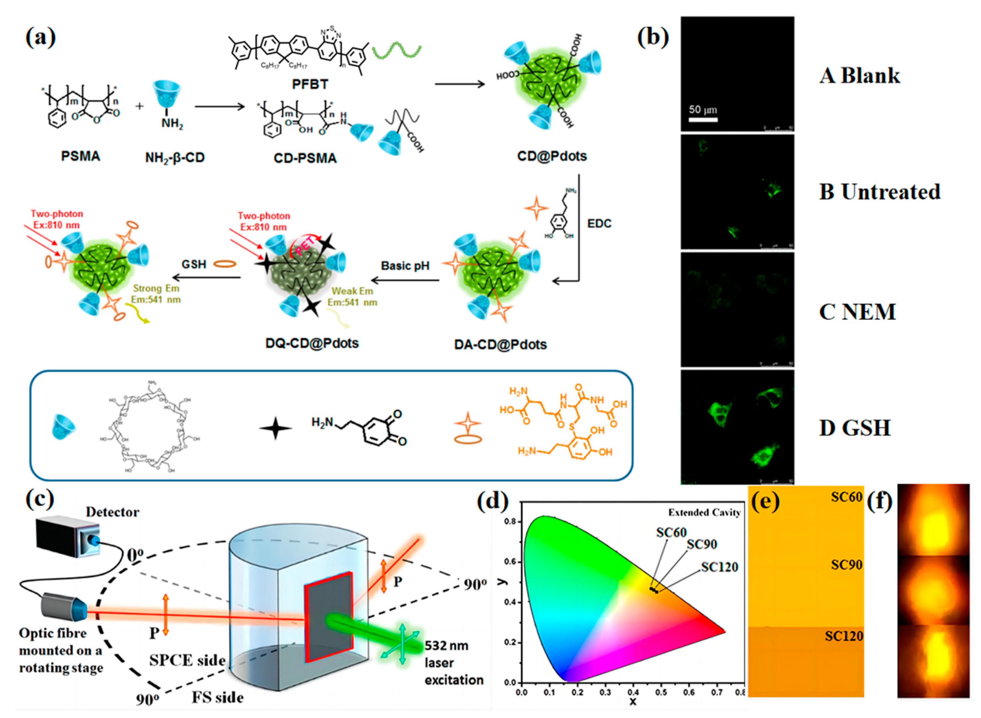 Biosensors 13 00494 g003 Biosensors 13 00494 g003