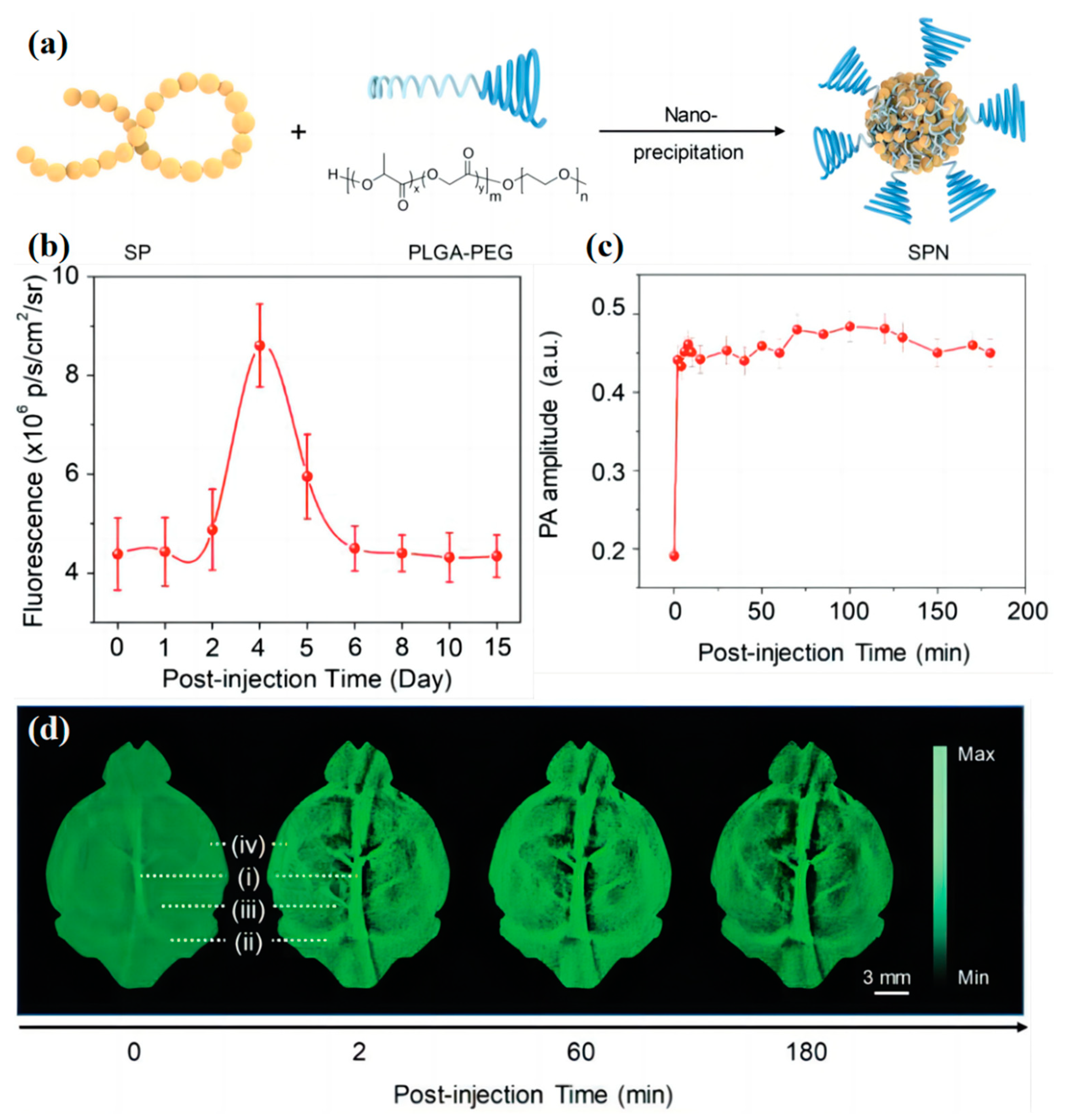 Biosensors 13 00494 g008 Biosensors 13 00494 g008