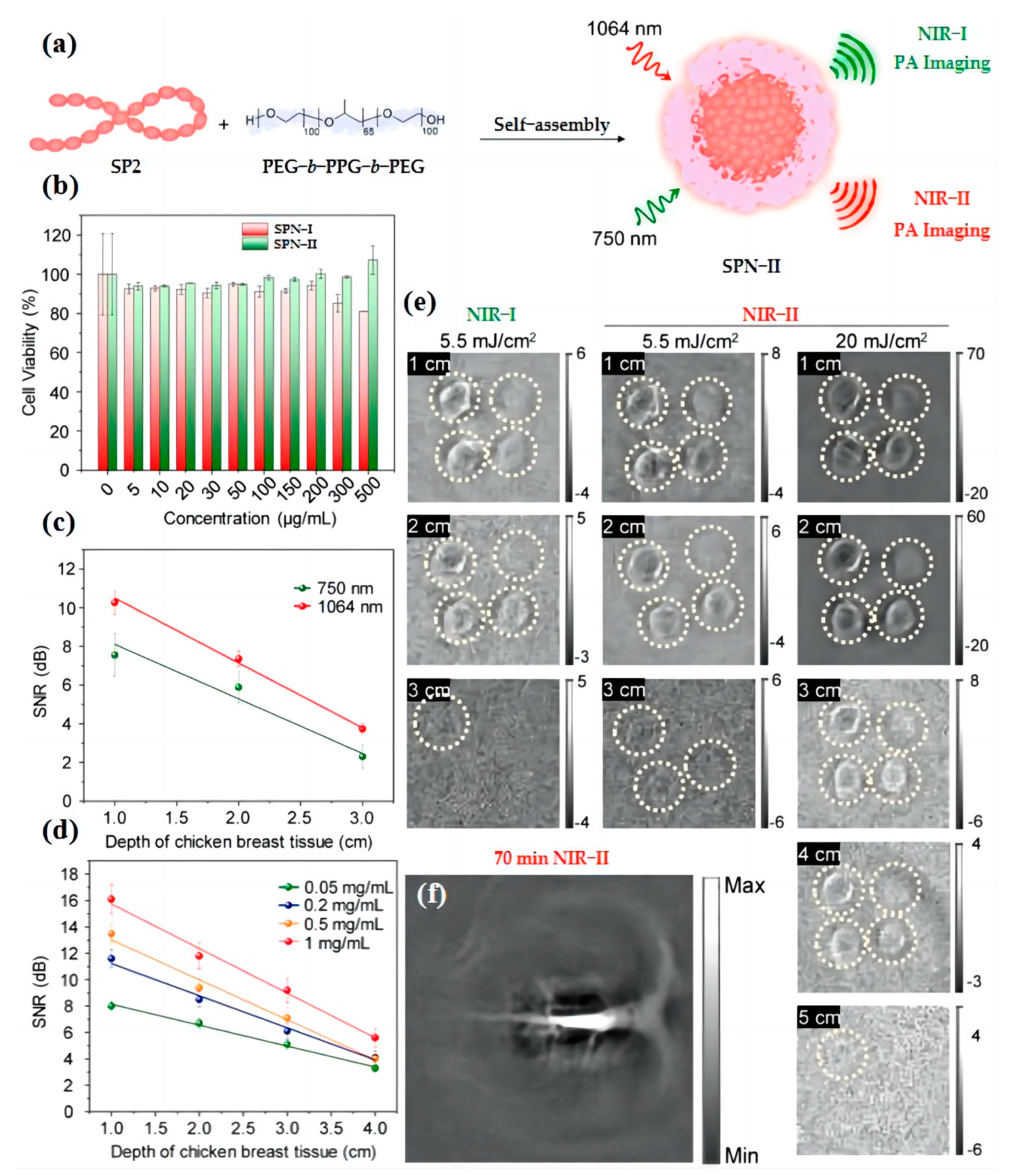 Biosensors 13 00494 g009 Biosensors 13 00494 g009
