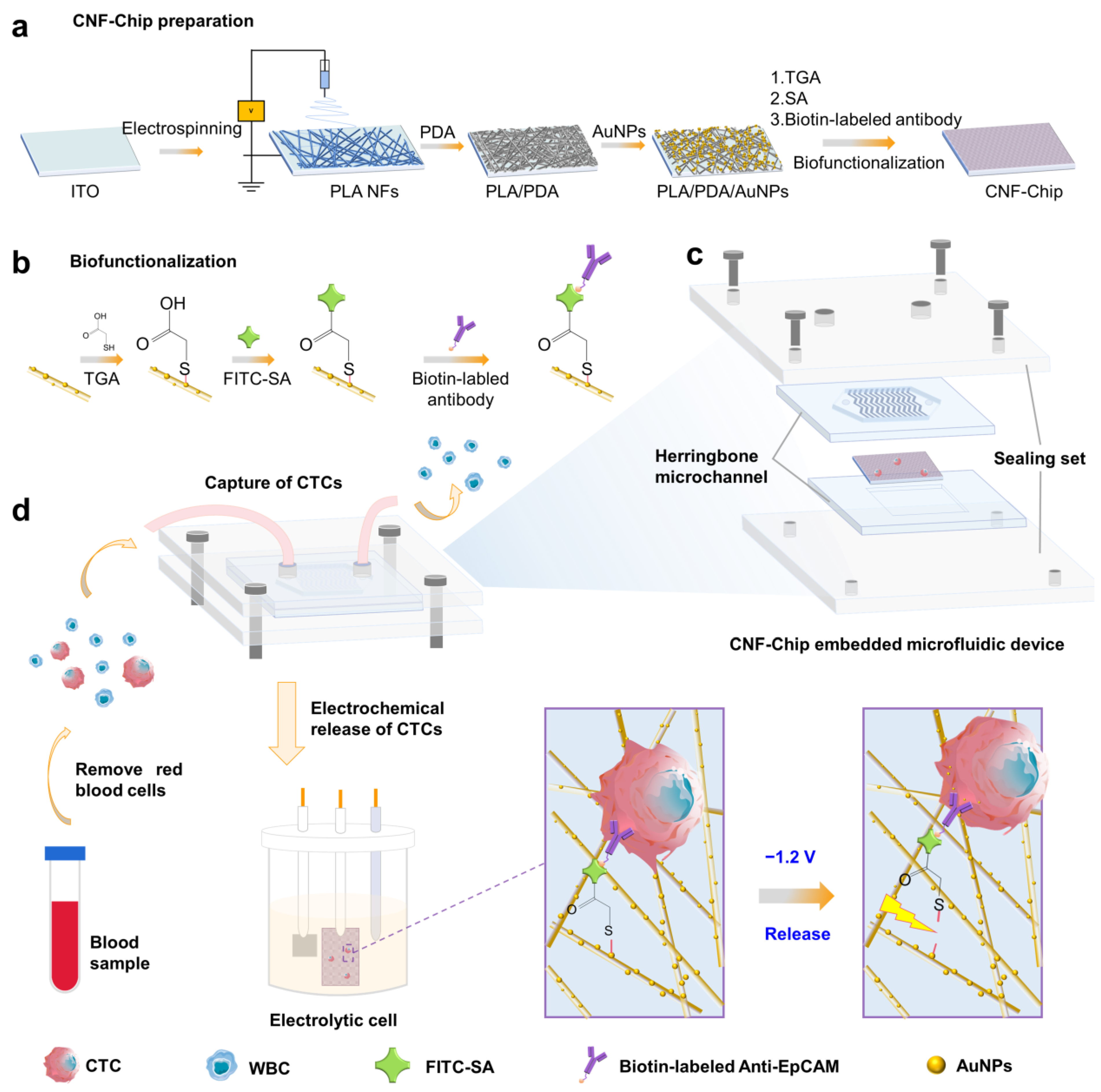 UltraFast Biotinylation Kit (microgram scale, 5 reactions