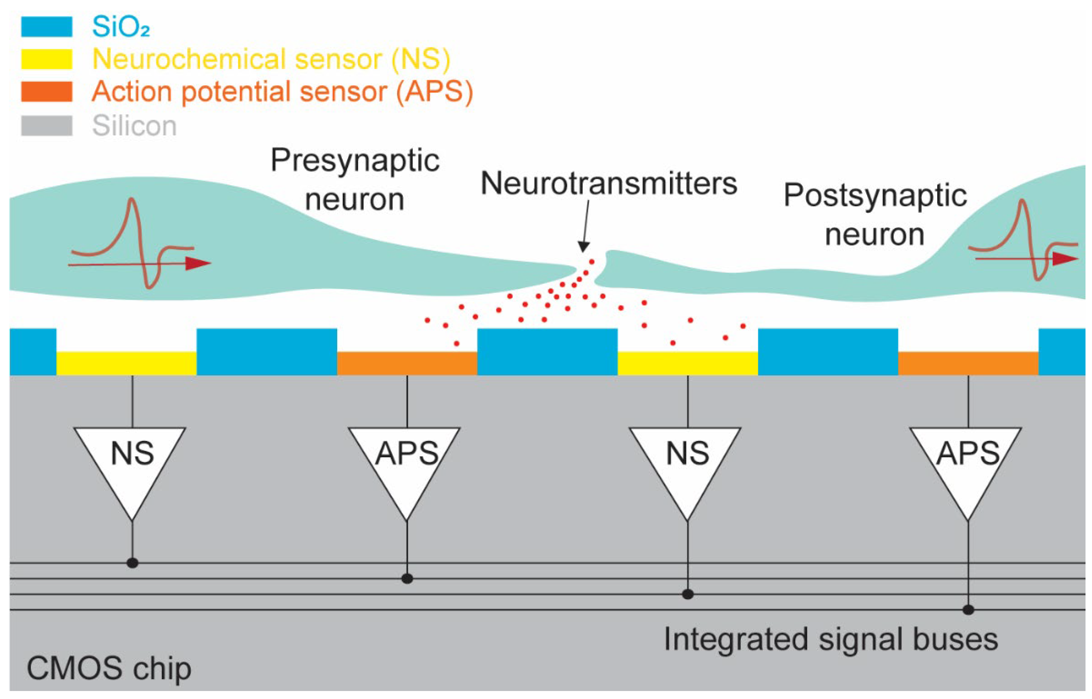 Biosensors 13 00502 g001 Biosensors 13 00502 g001