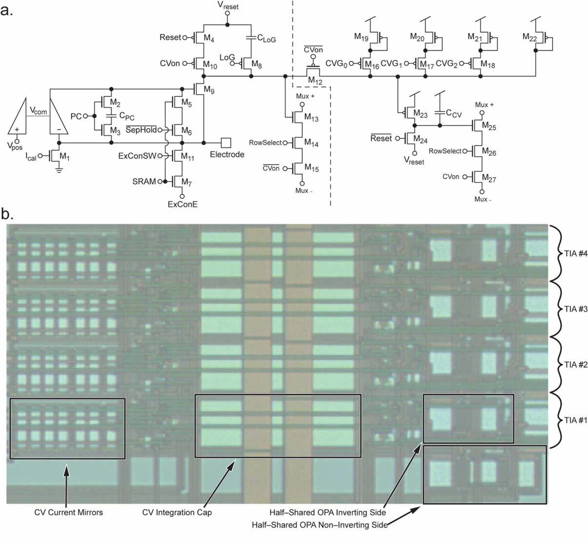 Biosensors 13 00502 g004 Biosensors 13 00502 g004