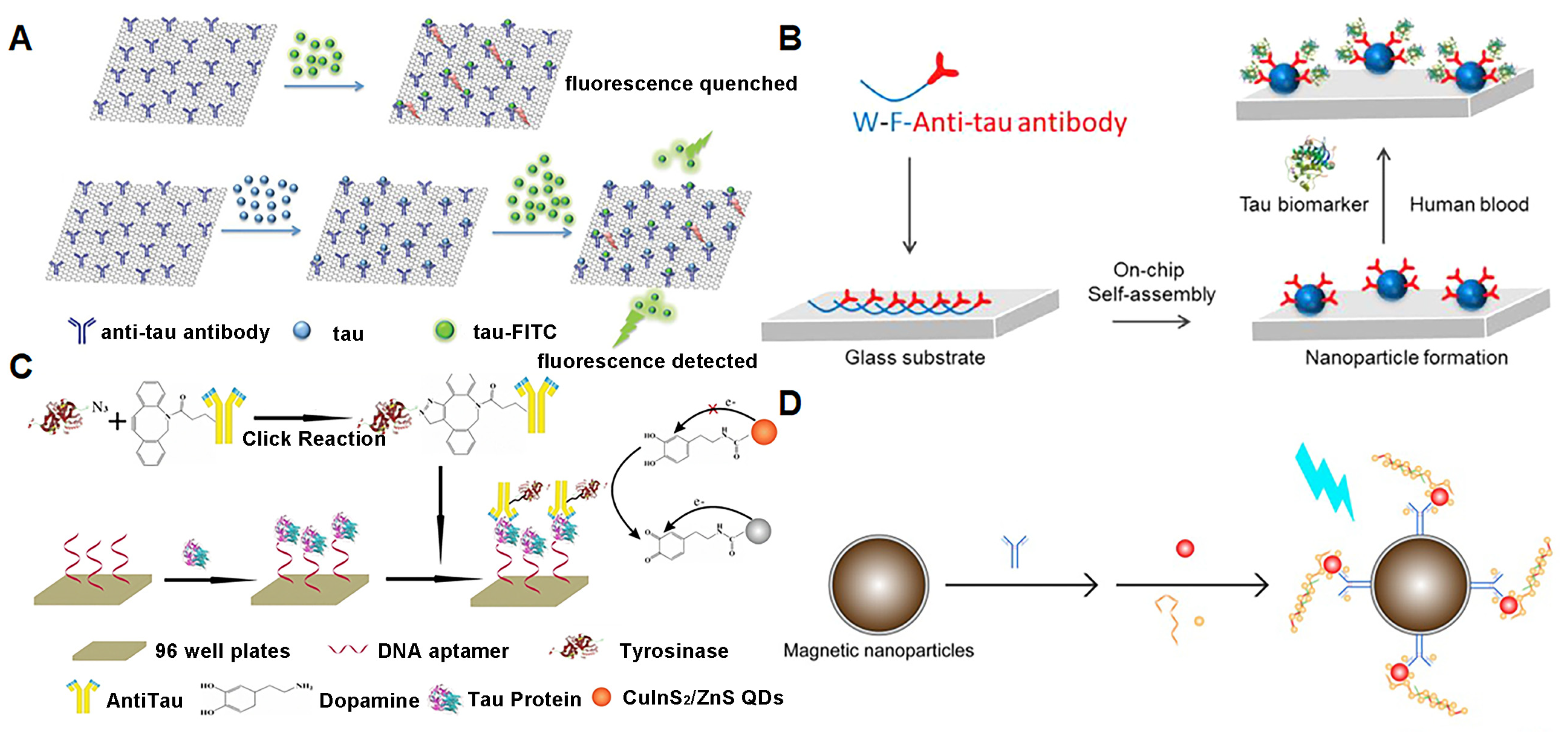 Biosensors 13 00515 g003 Biosensors 13 00515 g003