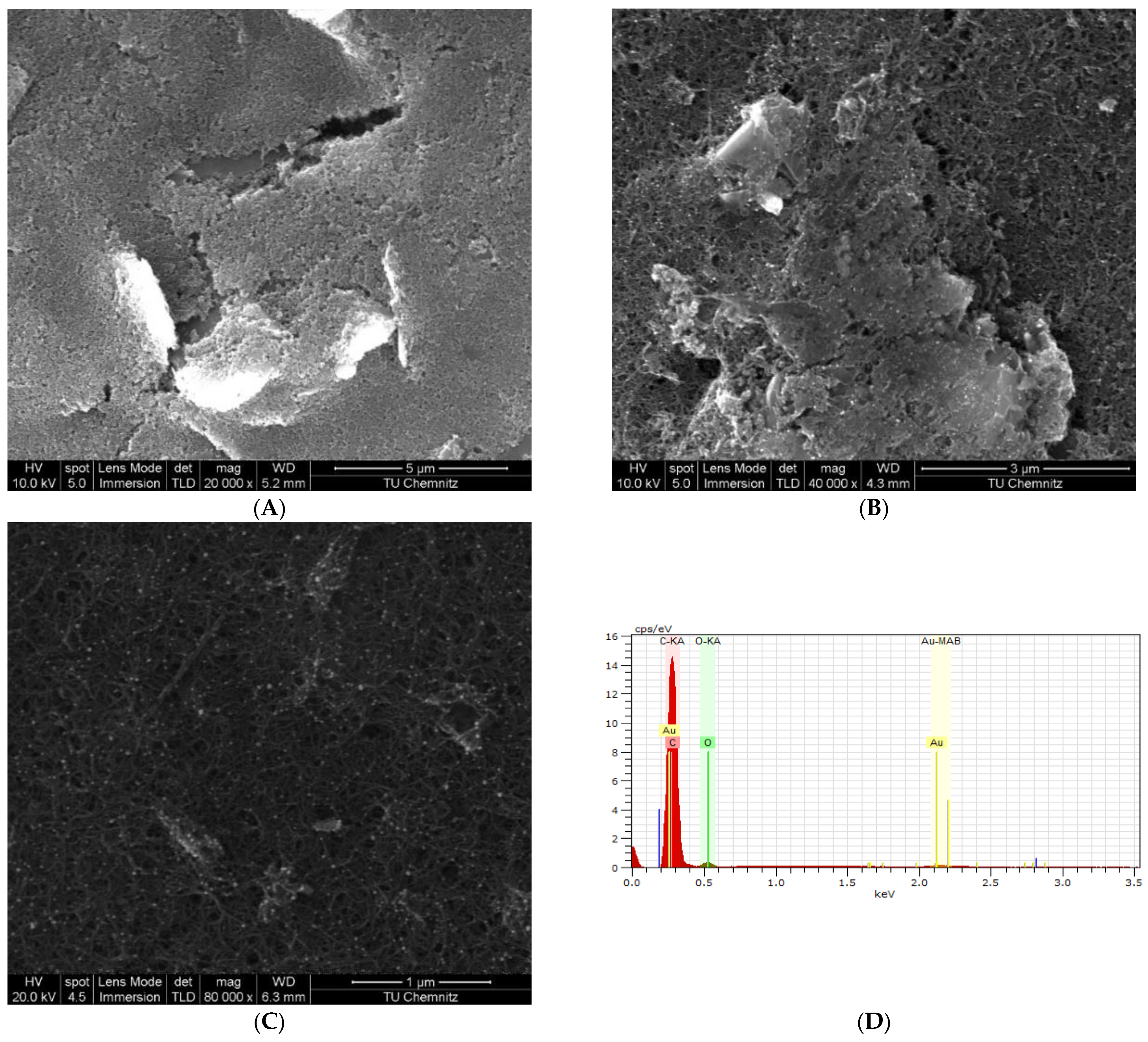 Biosensors 13 00527 g003 Biosensors 13 00527 g003