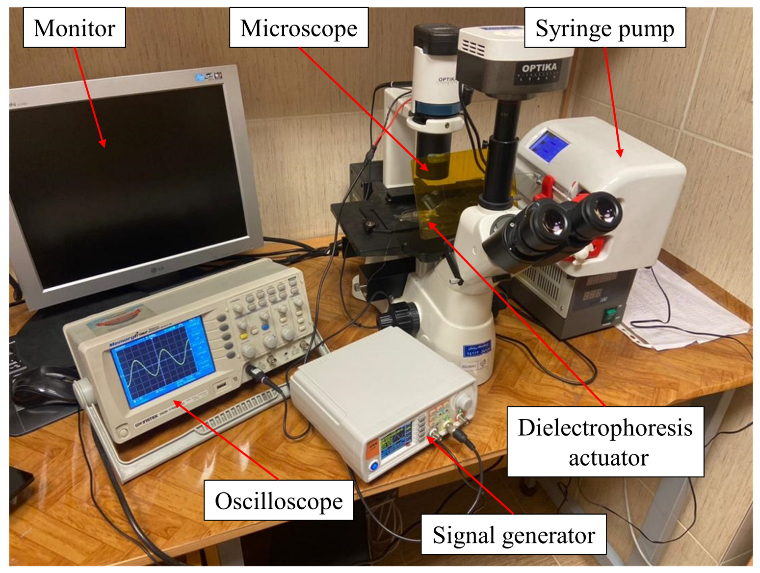 Biosensors 13 00540 g003