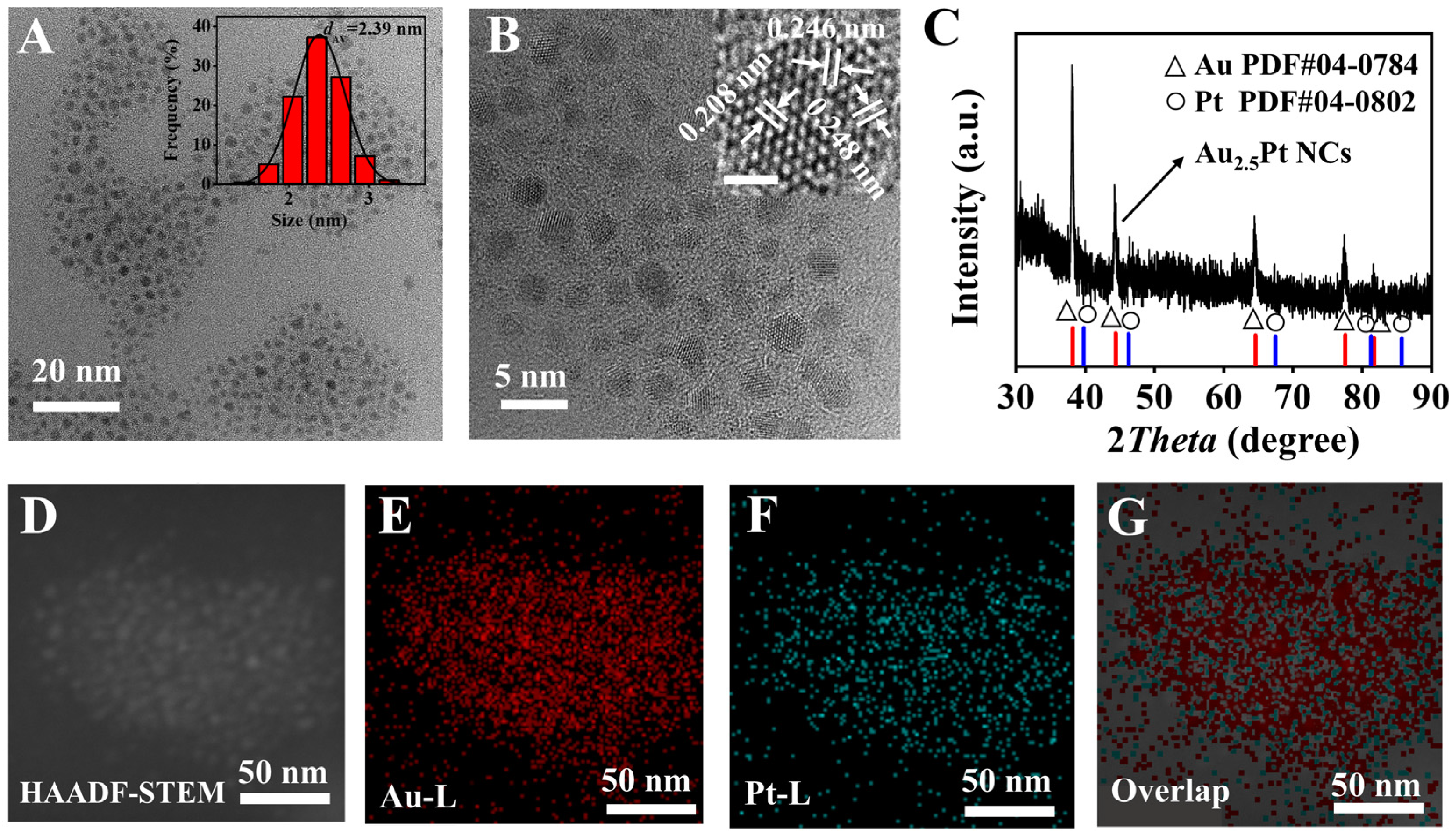 Biosensors 13 00550 g001 Biosensors 13 00550 g001