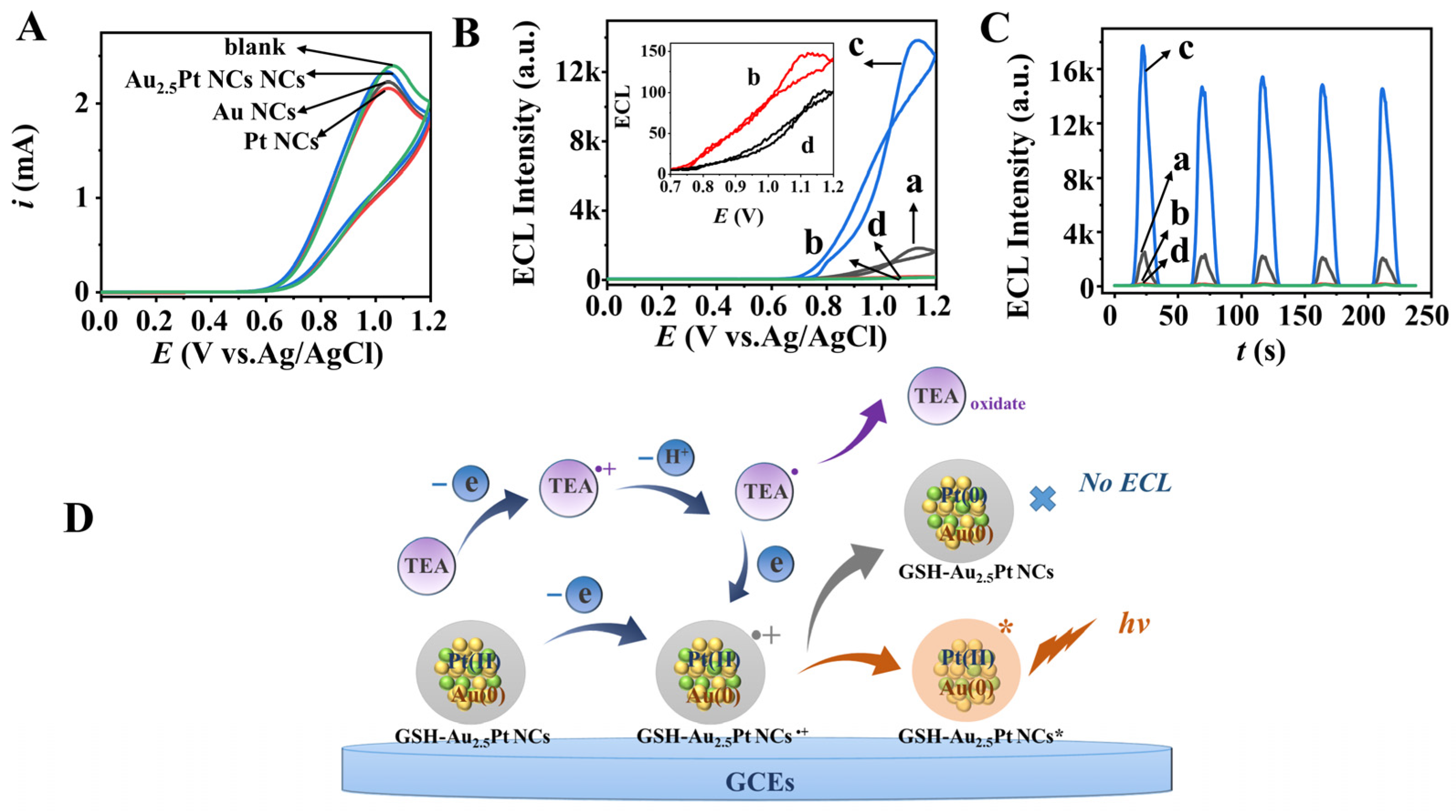 Biosensors 13 00550 g003 Biosensors 13 00550 g003