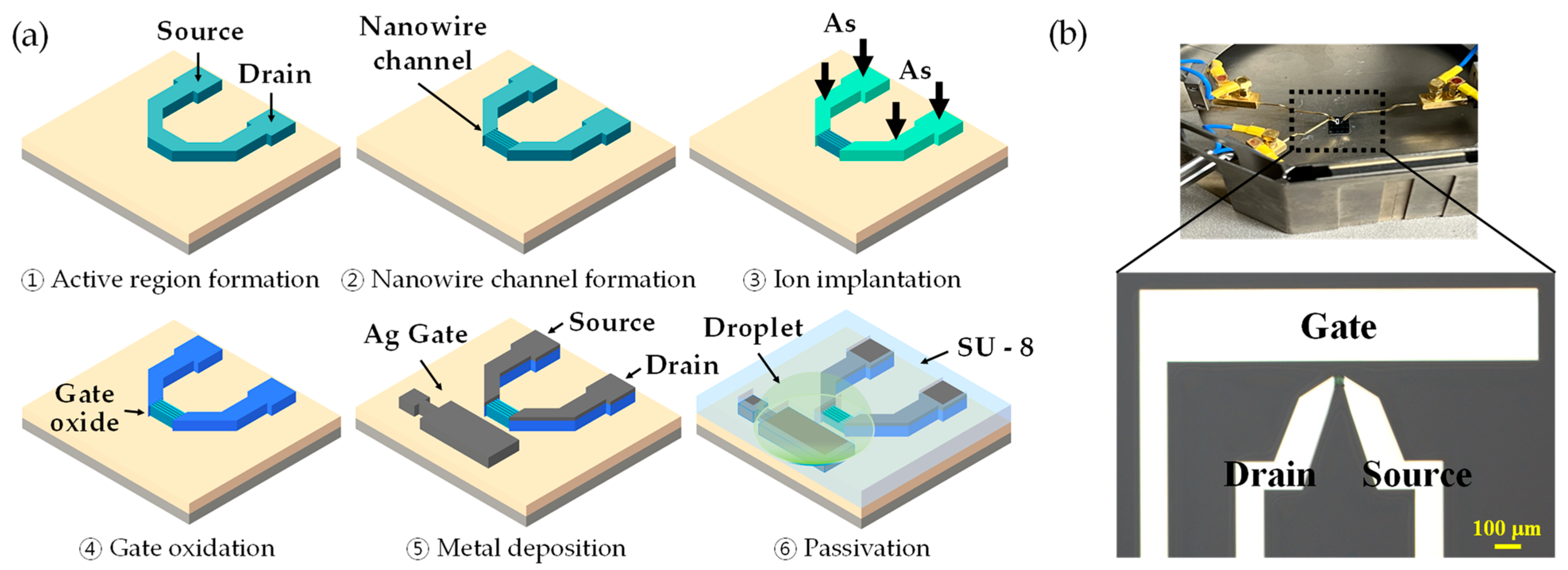 Biosensors 13 00565 g001