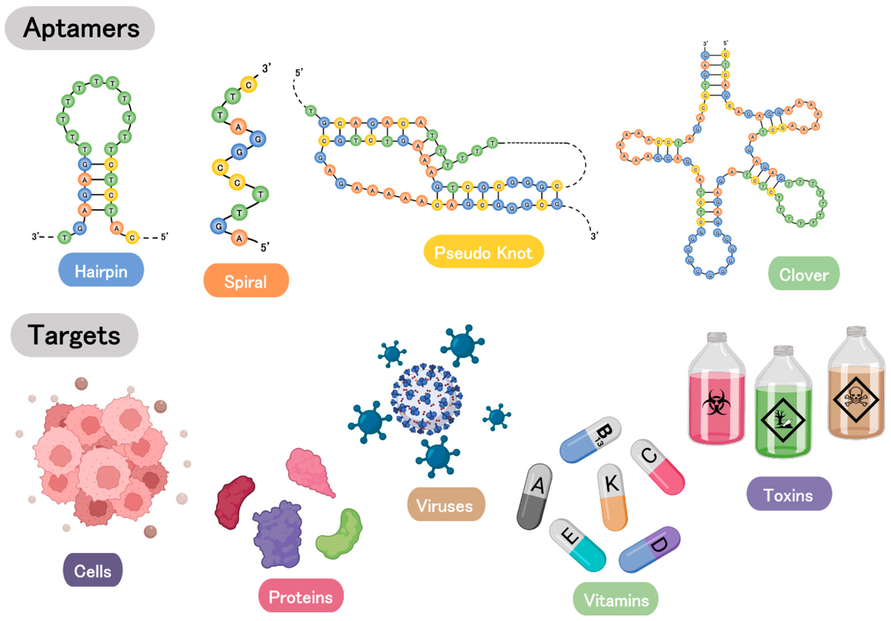 Biosensors | Free Full-Text | Aptamer-Based Point-of-Care Devices ...