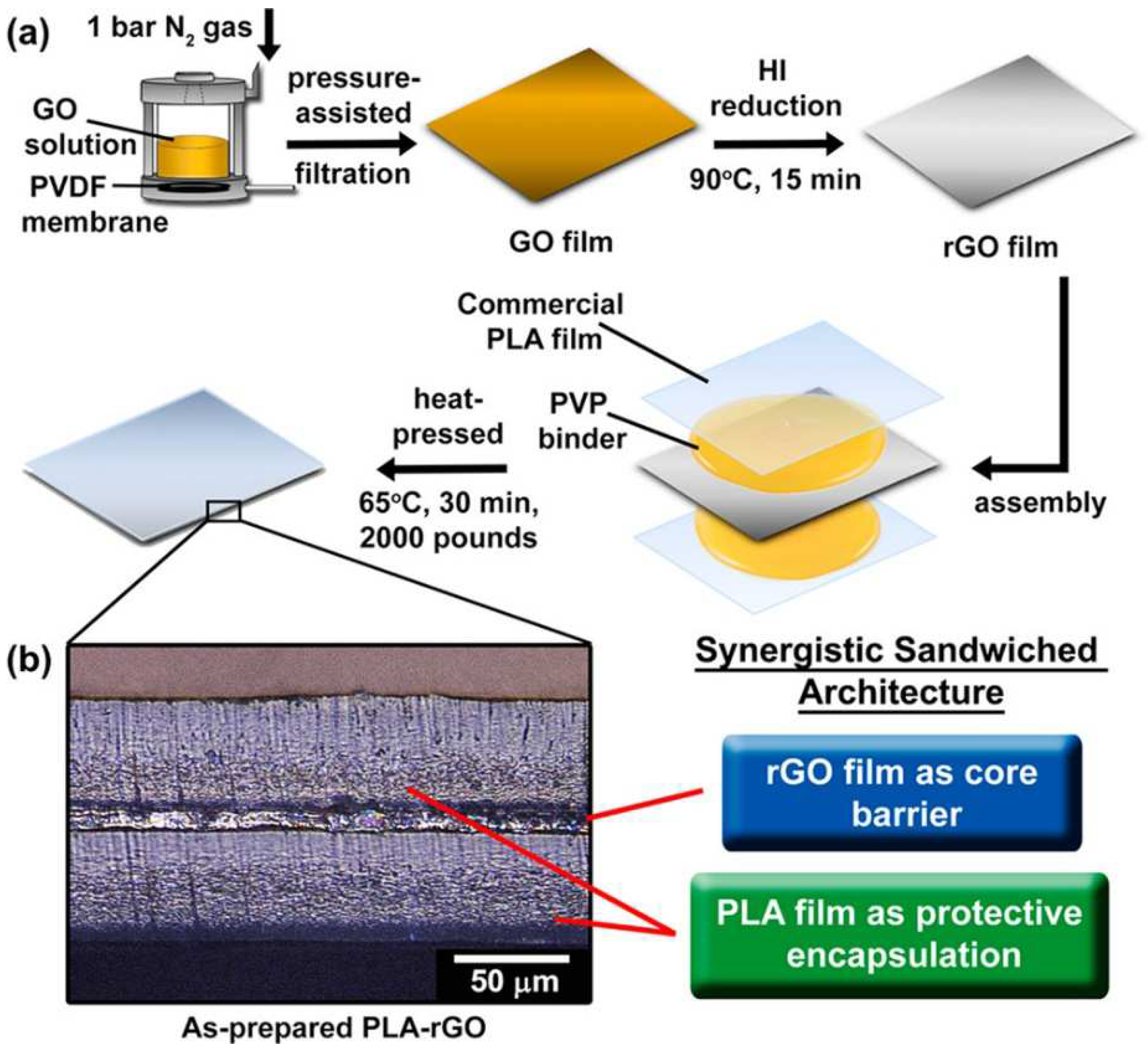 Biosensors 13 00579 g002