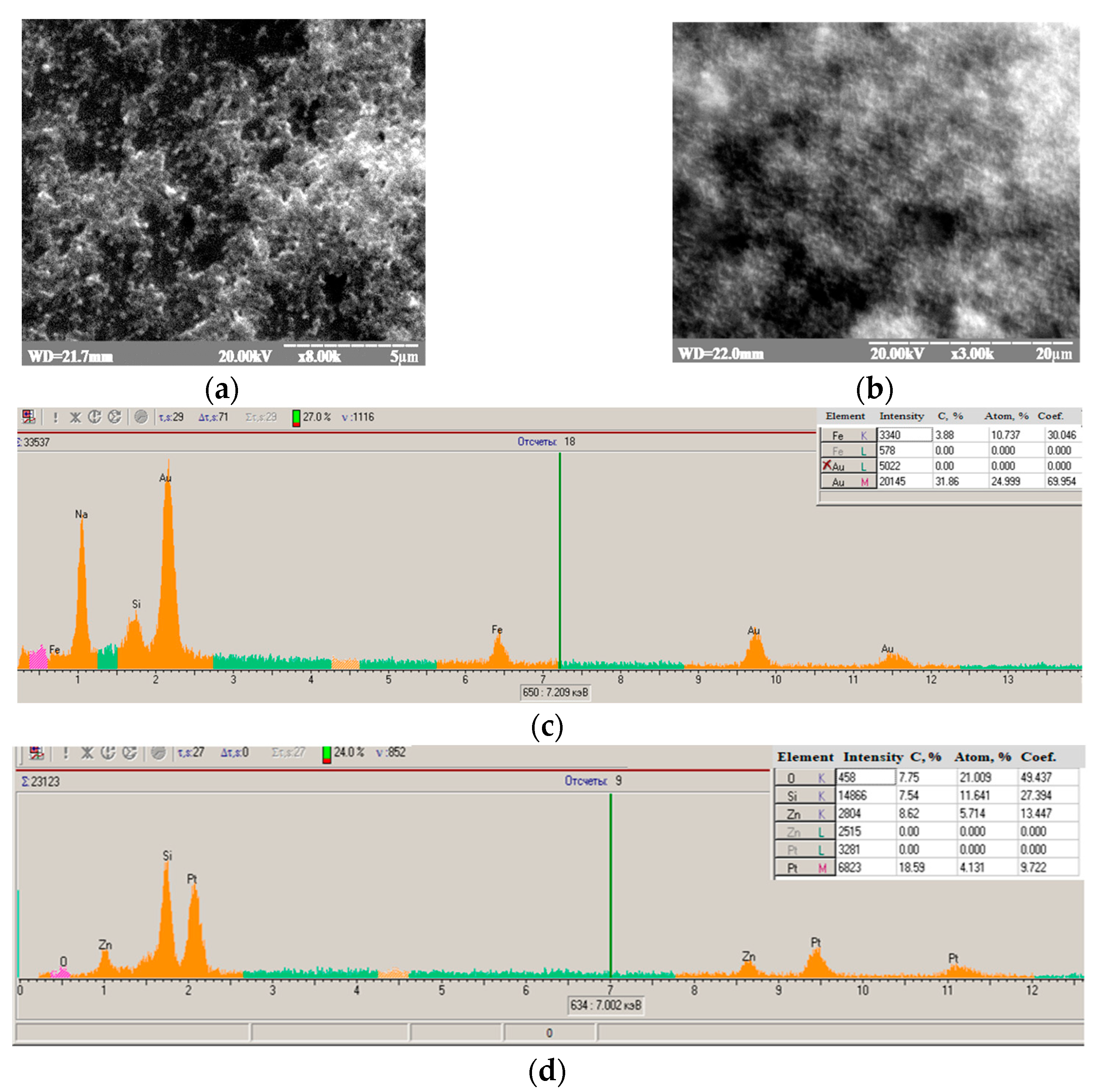 Biosensors 13 00587 g0a1