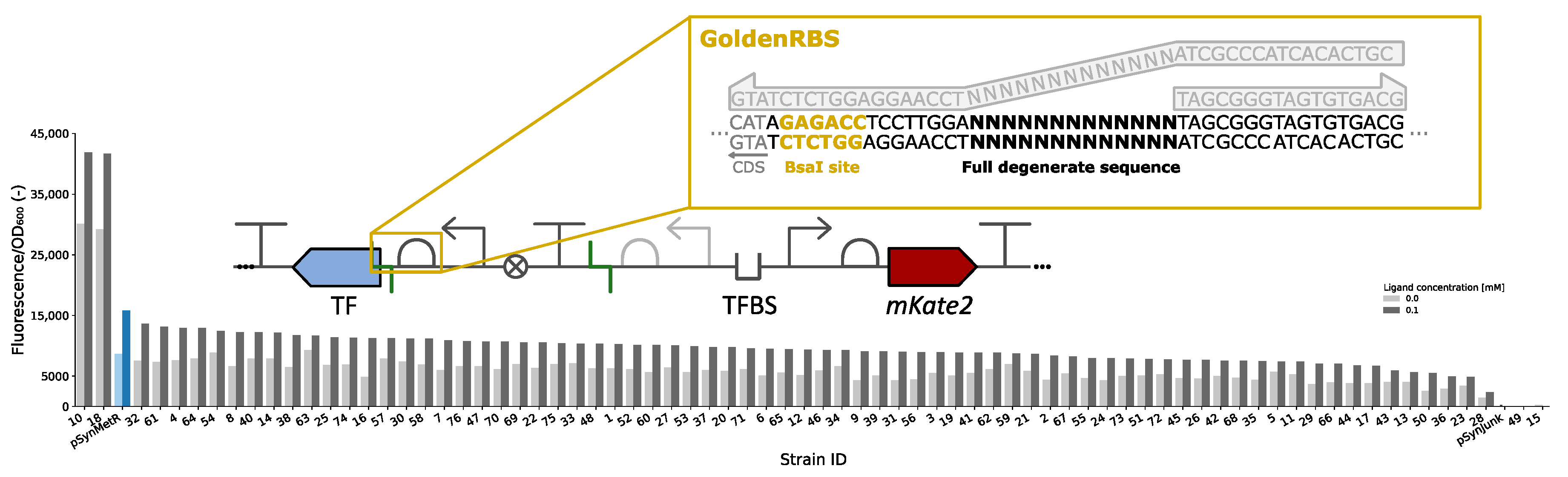 Biosensors 13 00590 g005