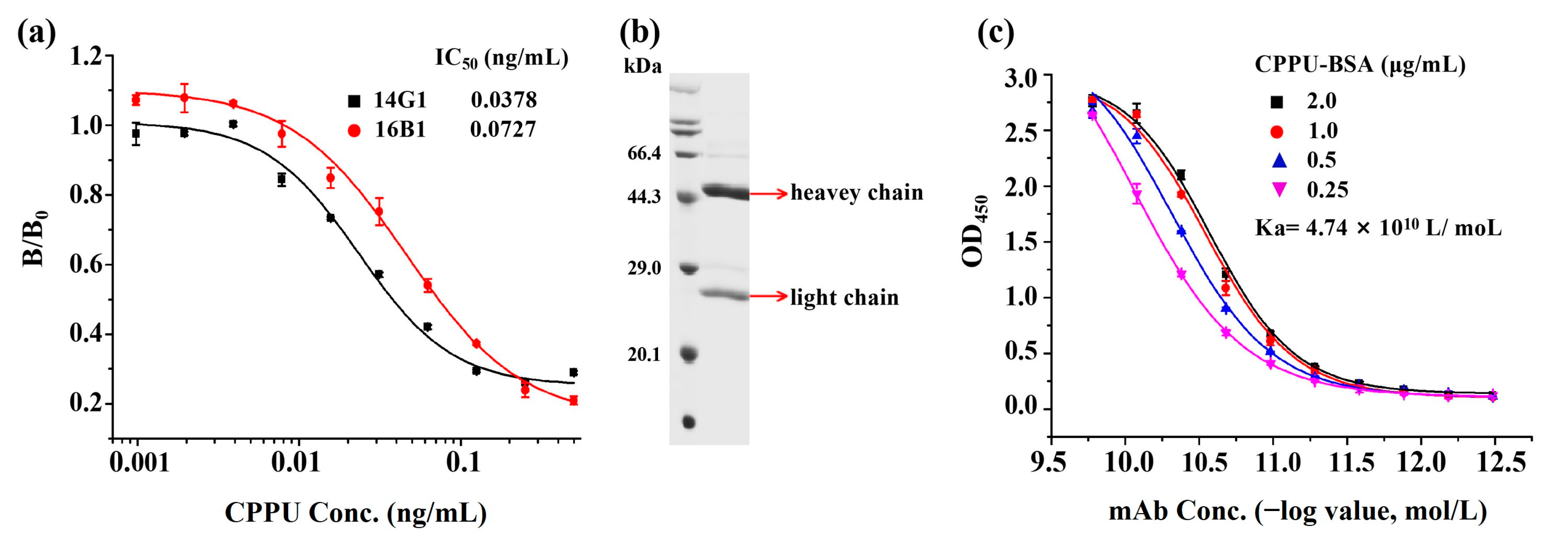 Biosensors 13 00593 g002 Biosensors 13 00593 g002