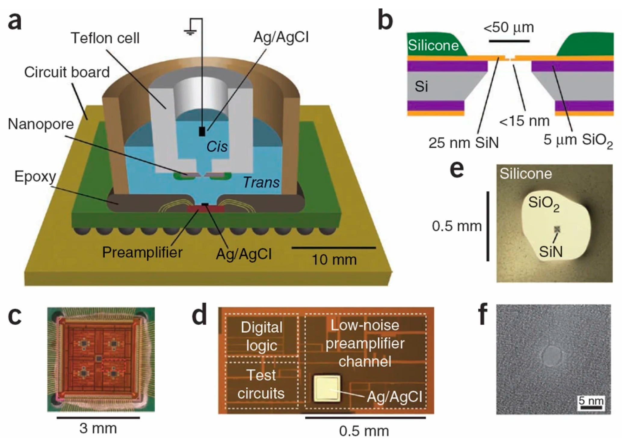 Biosensors 13 00598 g002