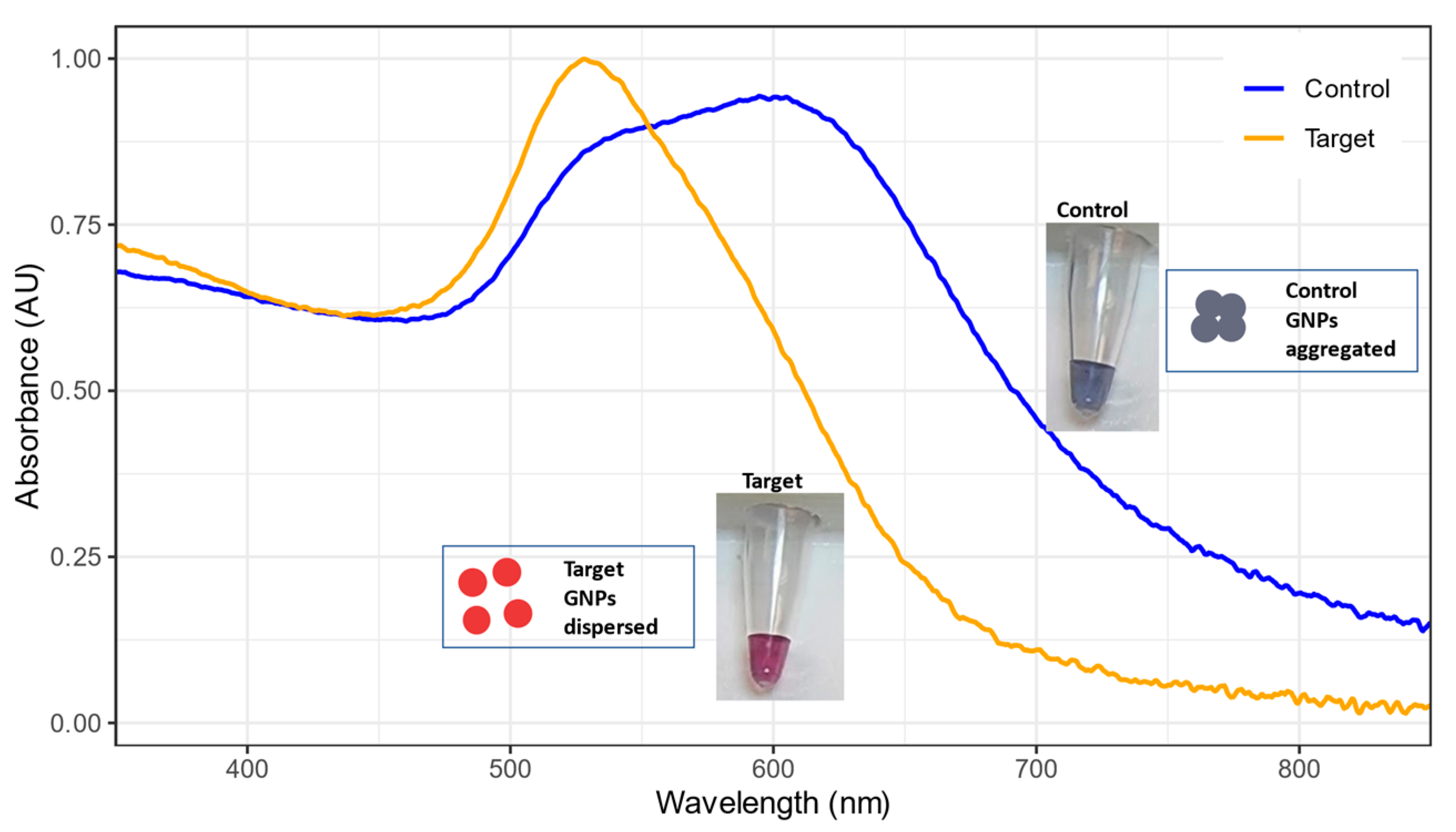 Biosensors 13 00608 g005 Biosensors 13 00608 g005