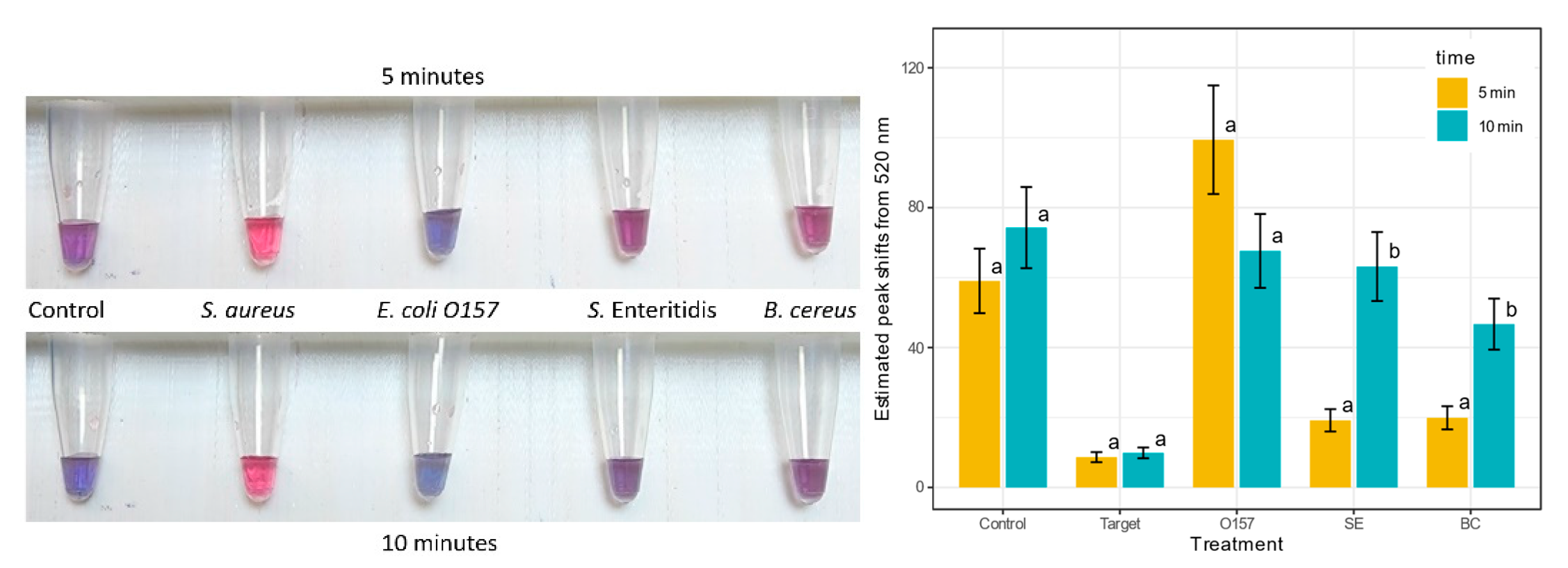 Biosensors 13 00608 g008 Biosensors 13 00608 g008