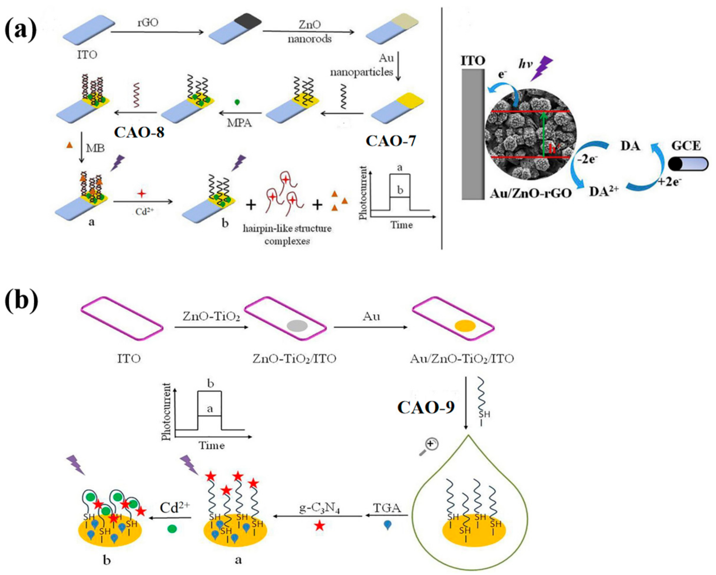 Biosensors 13 00612 g003