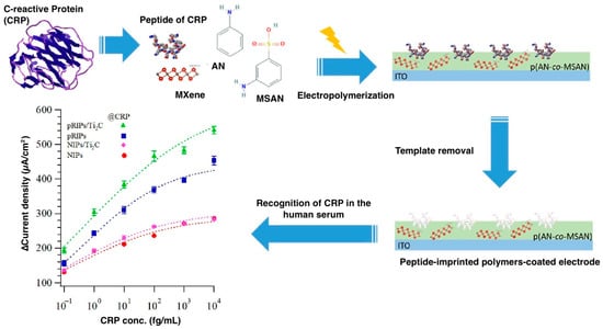 Biosensors | Free Full-Text | Molecularly Imprinted Polymer-Based ...