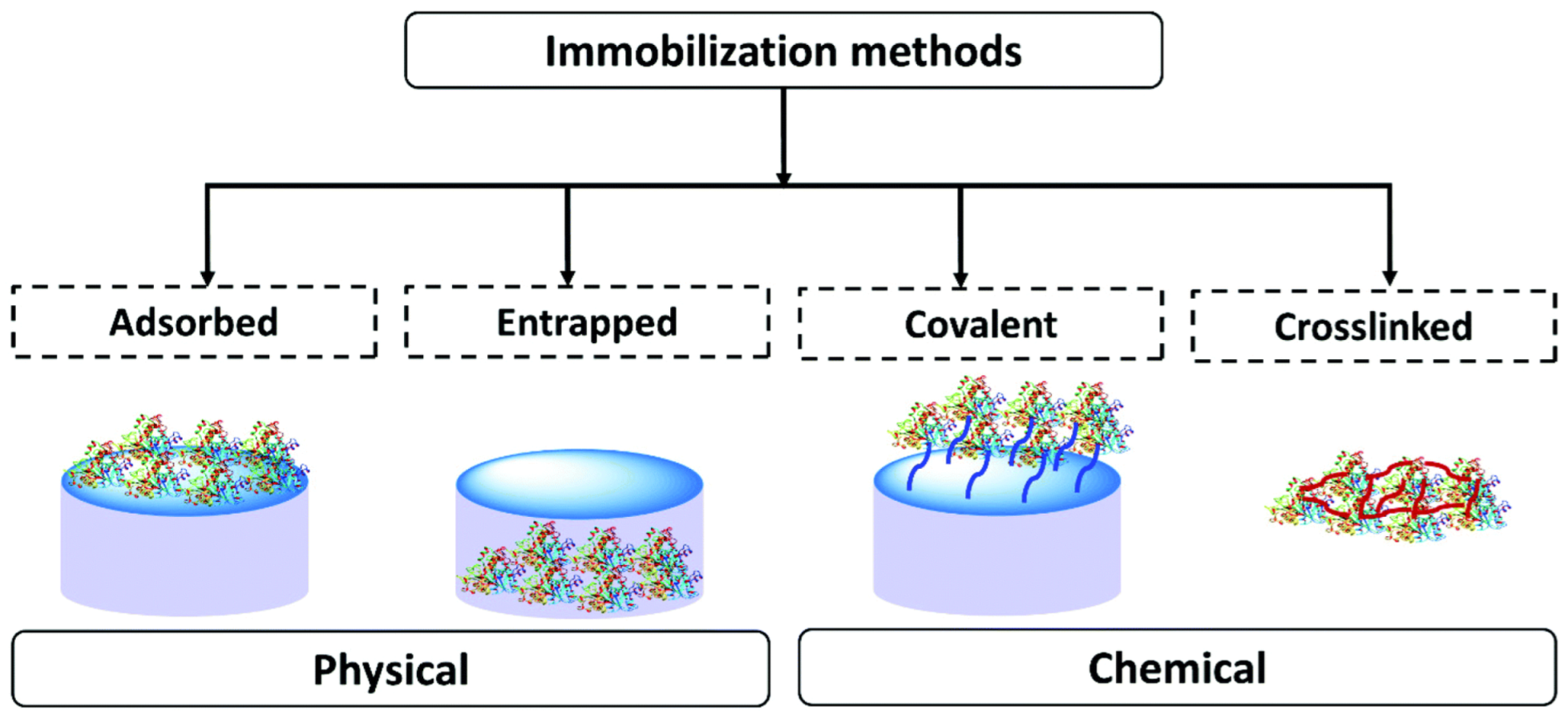 Biosensors 13 00622 g003 Biosensors 13 00622 g003