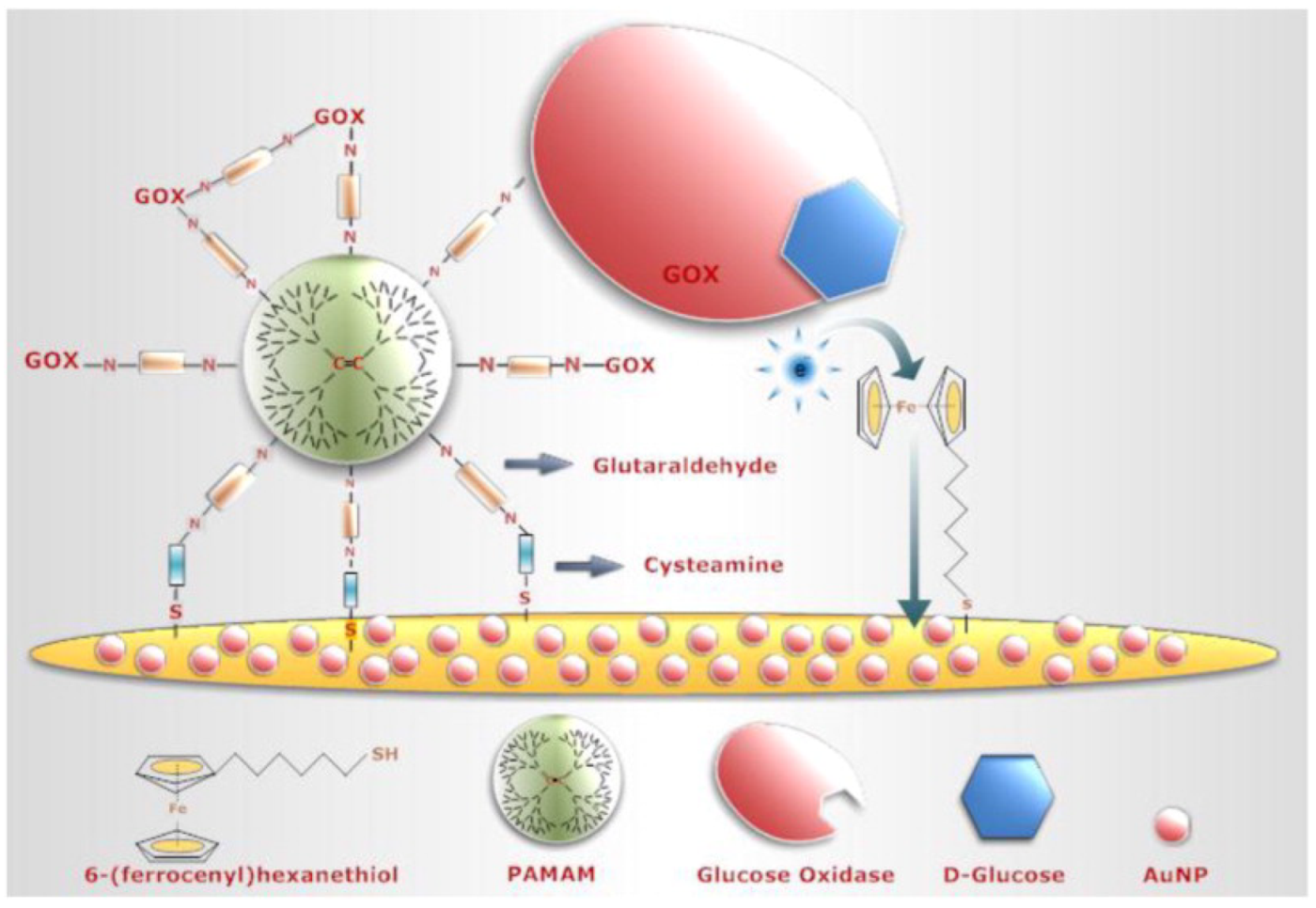 Biosensors 13 00622 g005 Biosensors 13 00622 g005