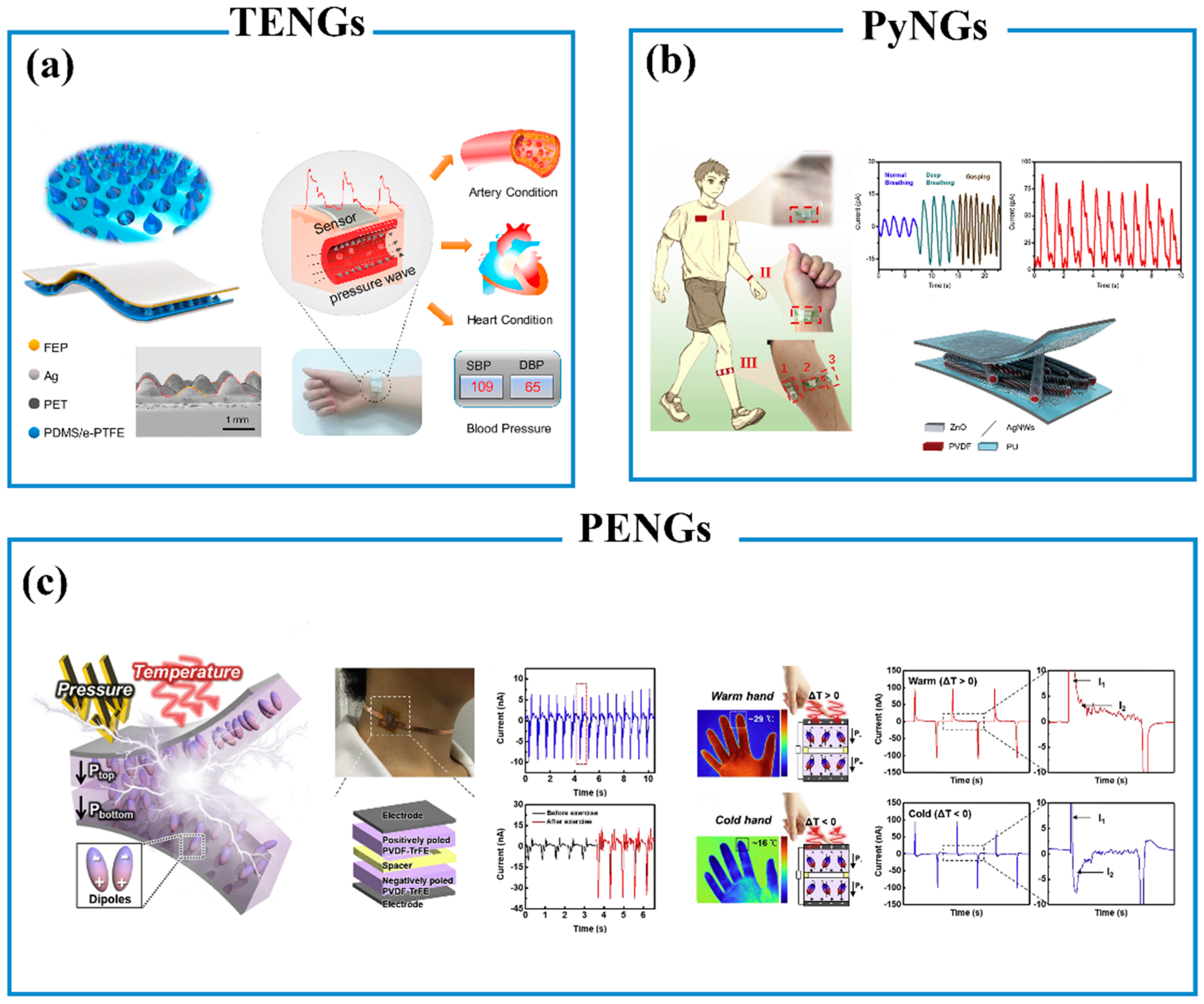Biosensors 13 00630 g008 Biosensors 13 00630 g008