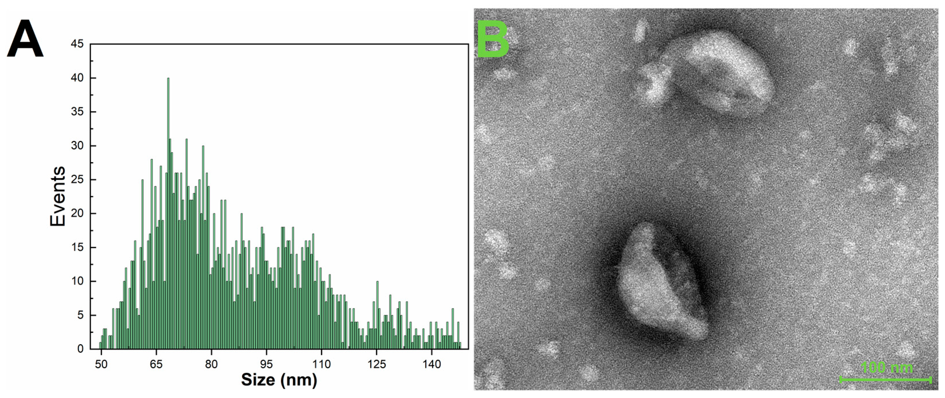 Biosensors 13 00647 g001