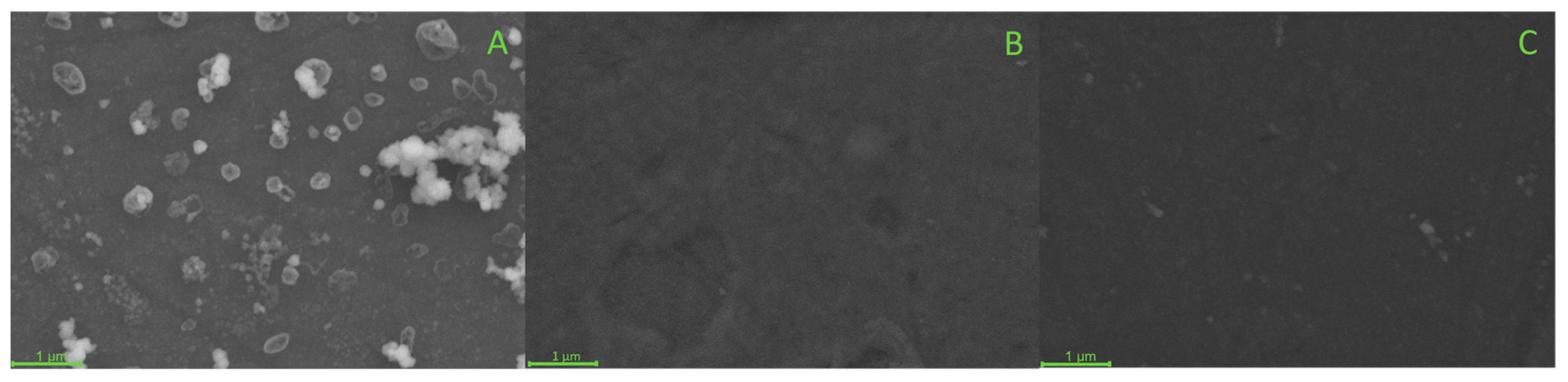 Biosensors 13 00647 g002