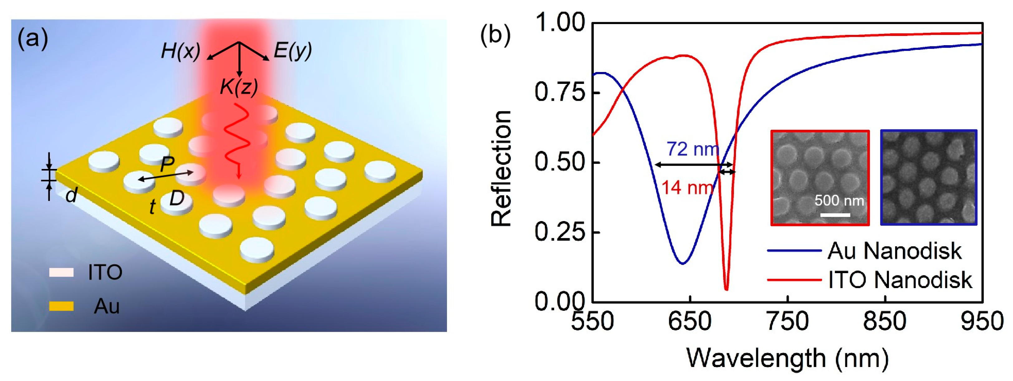 Biosensors 13 00649 g001 Biosensors 13 00649 g001