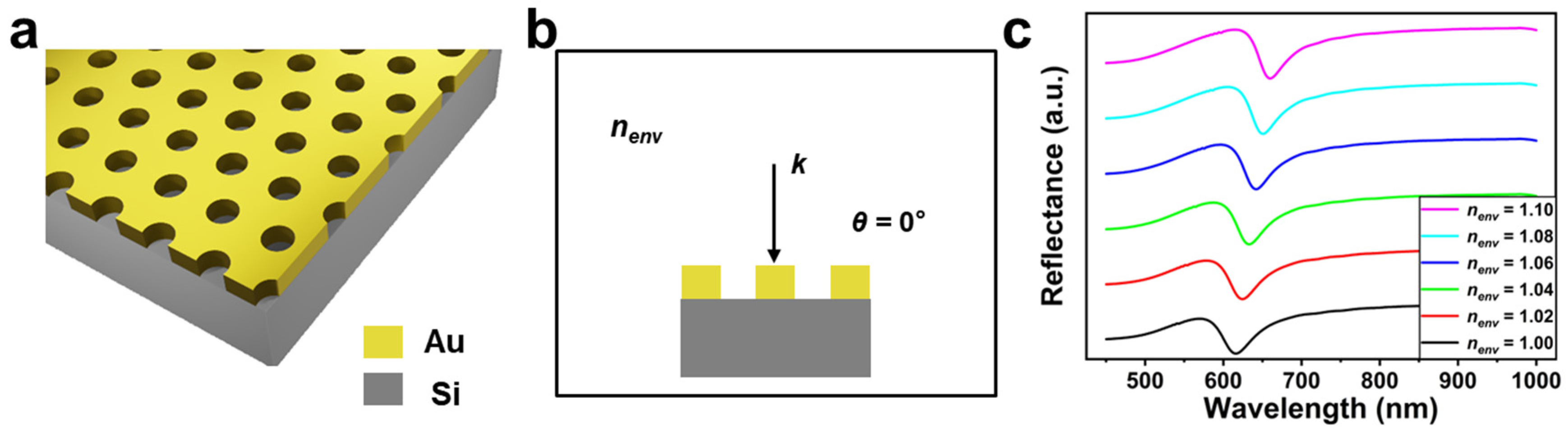 Biosensors 13 00654 g001
