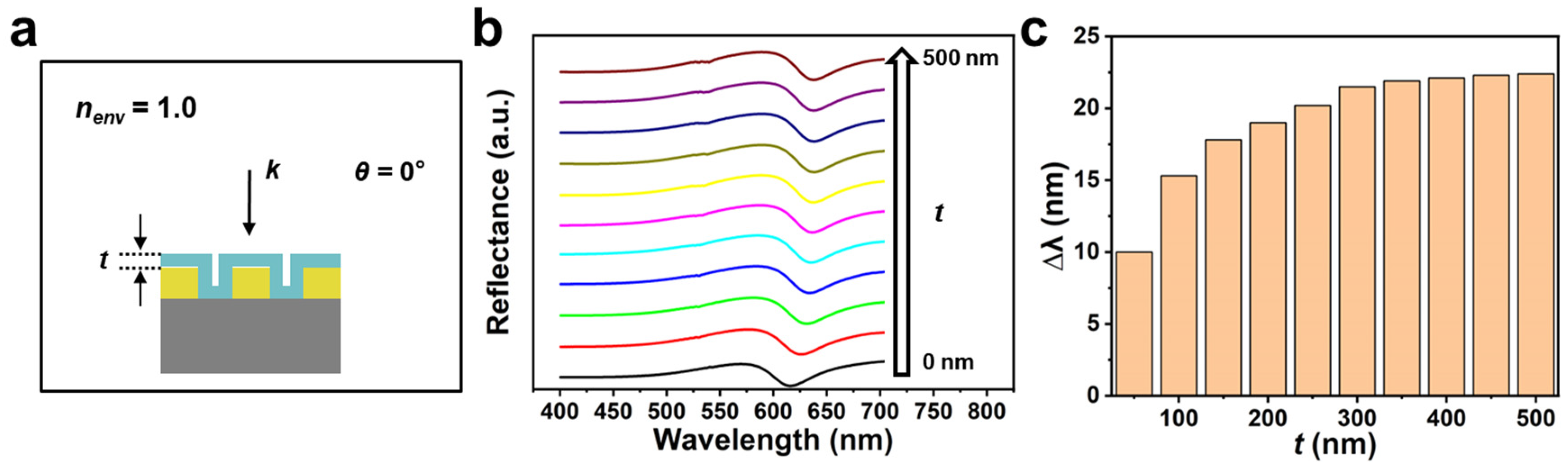 Biosensors 13 00654 g004