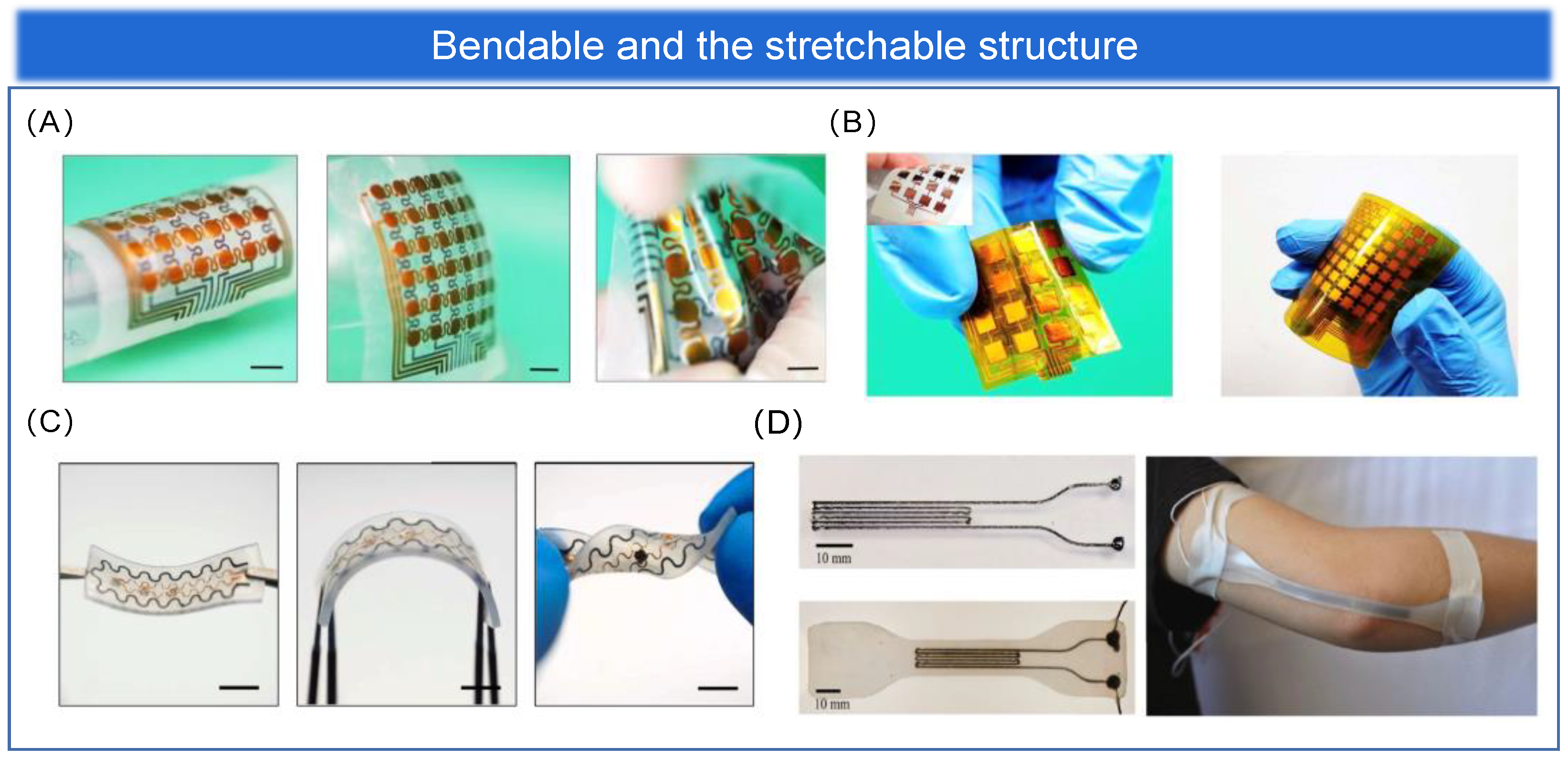 Biosensors 13 00656 g005