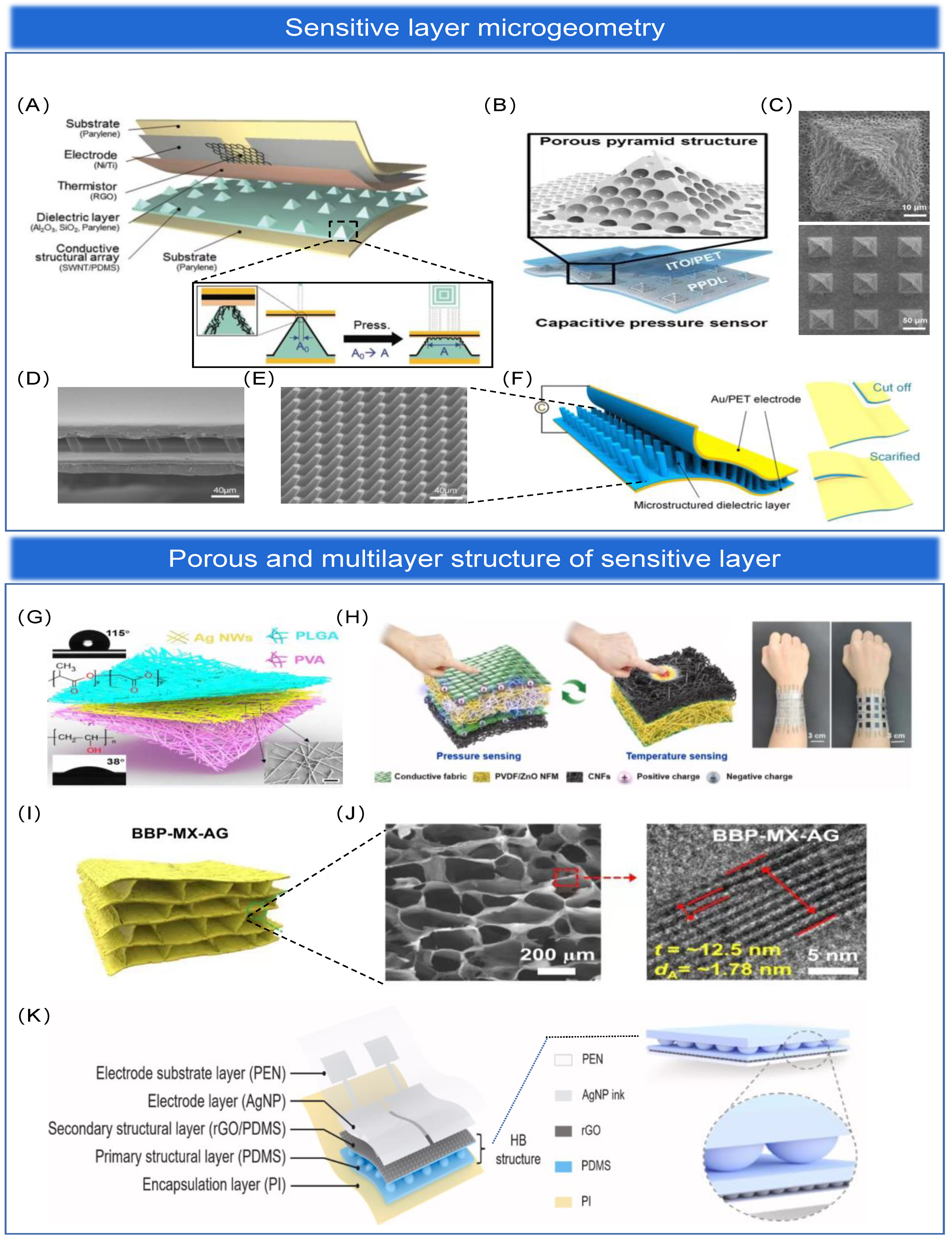 Biosensors 13 00656 g007