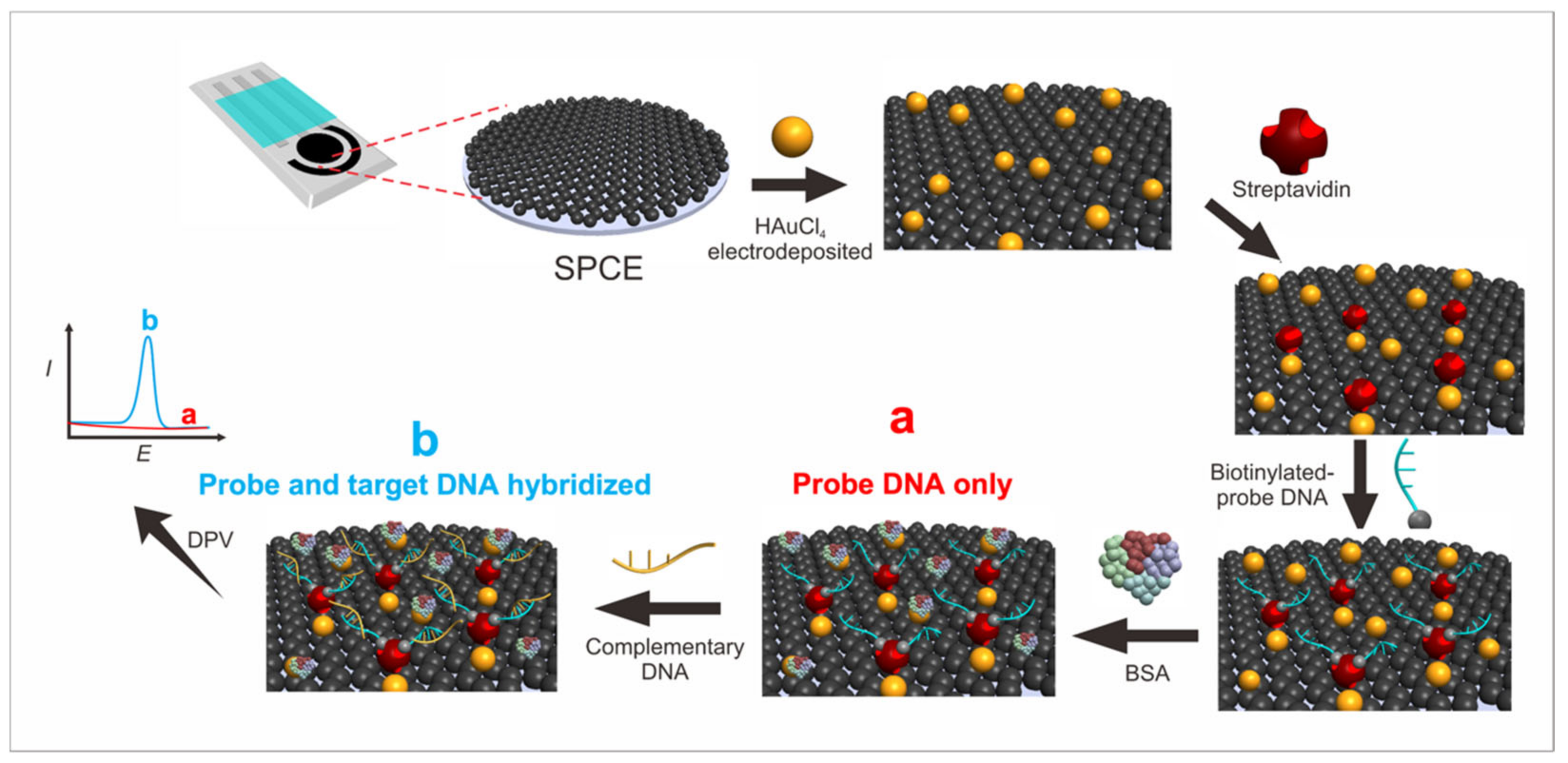 Biosensors | Free Full-Text | The Optimization Of A Label-Free ...