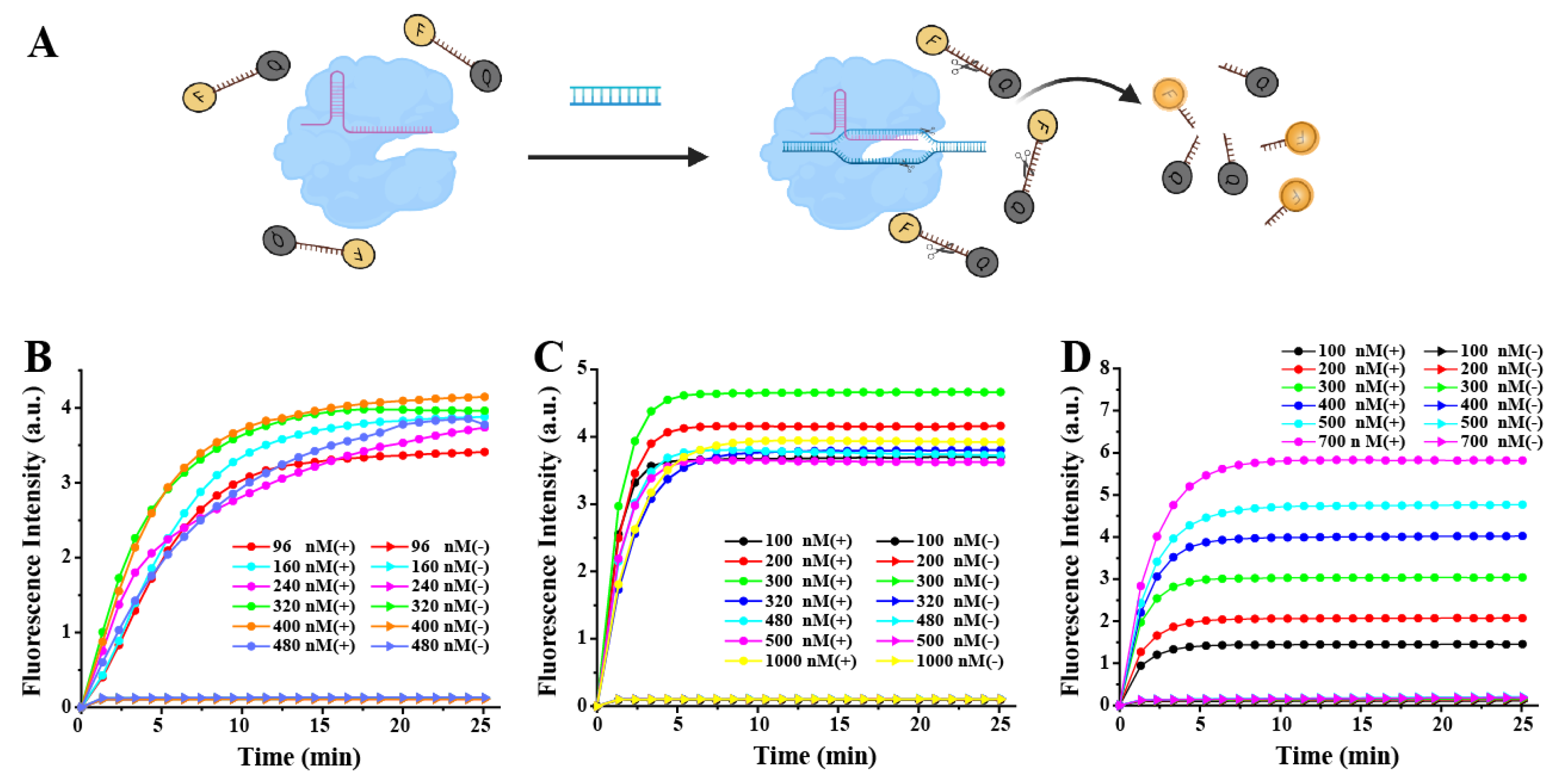 Biosensors 13 00659 g002 Biosensors 13 00659 g002