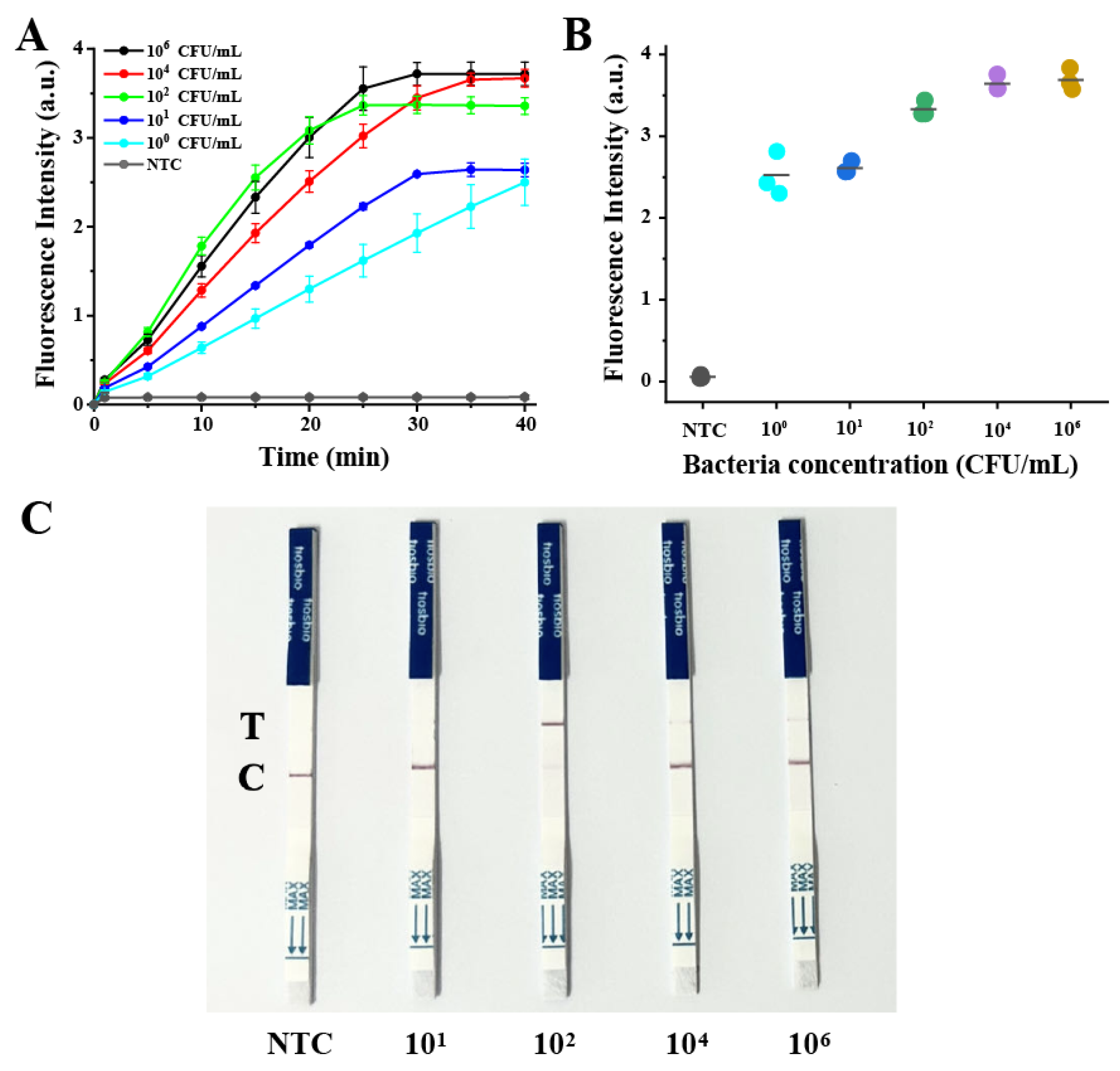 Biosensors 13 00659 g003 Biosensors 13 00659 g003