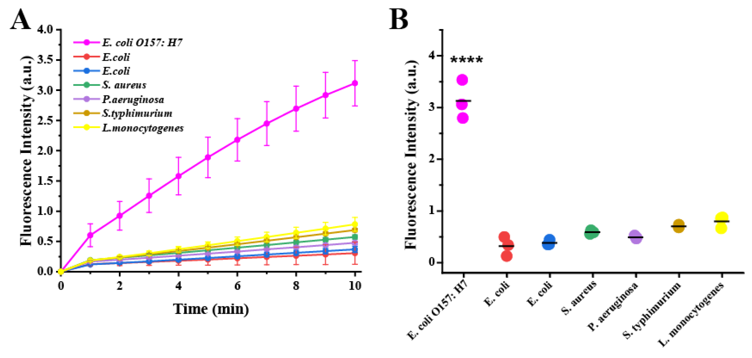 Biosensors 13 00659 g004 Biosensors 13 00659 g004