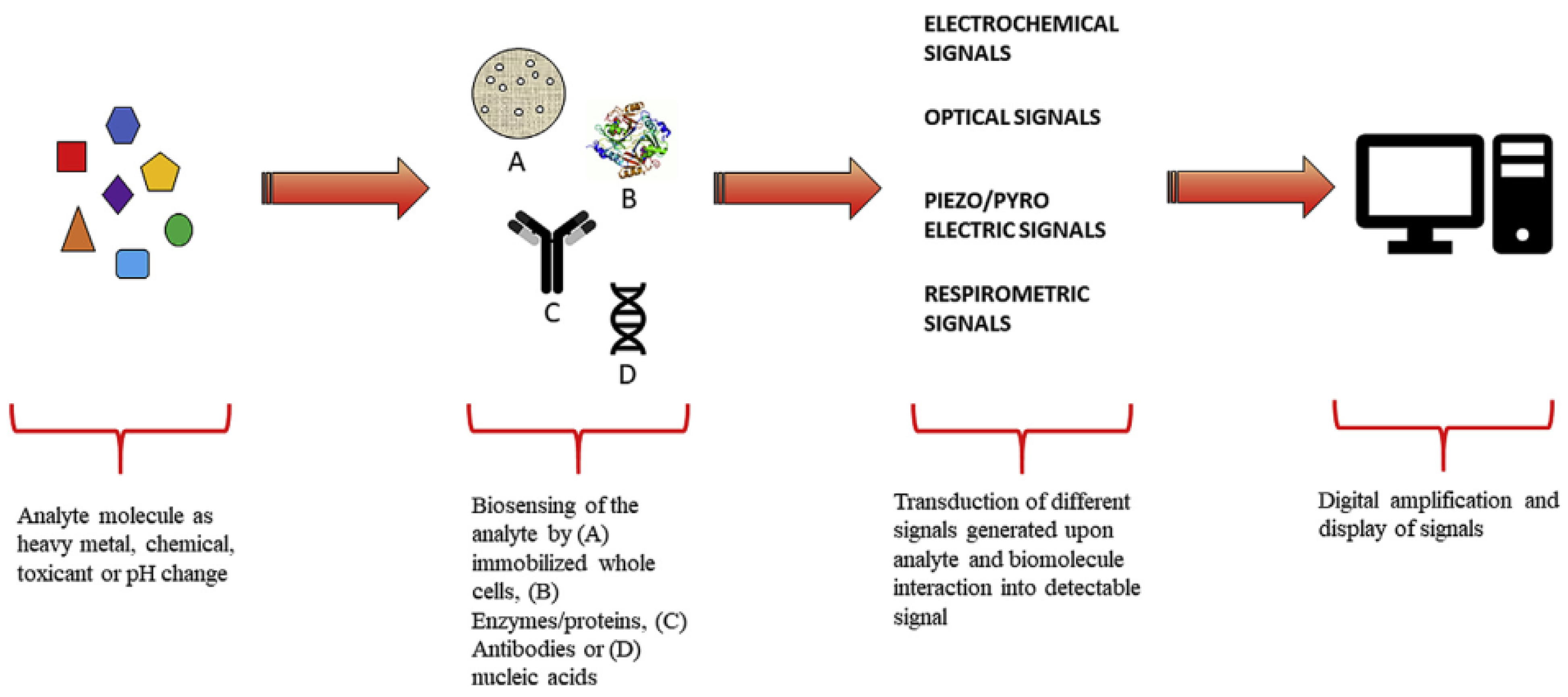 Biosensors | Free Full-Text | Newly Developed Electrochemiluminescence ...