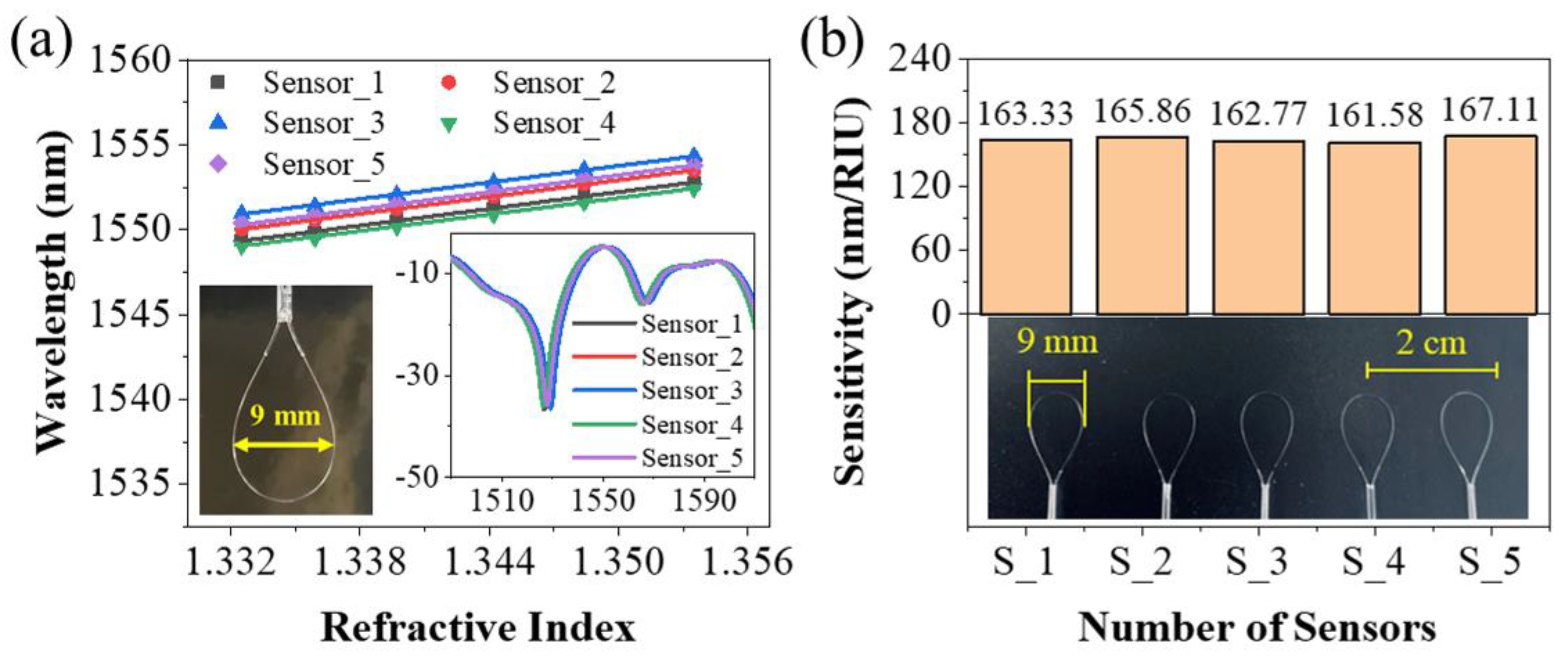 Biosensors 13 00674 g004