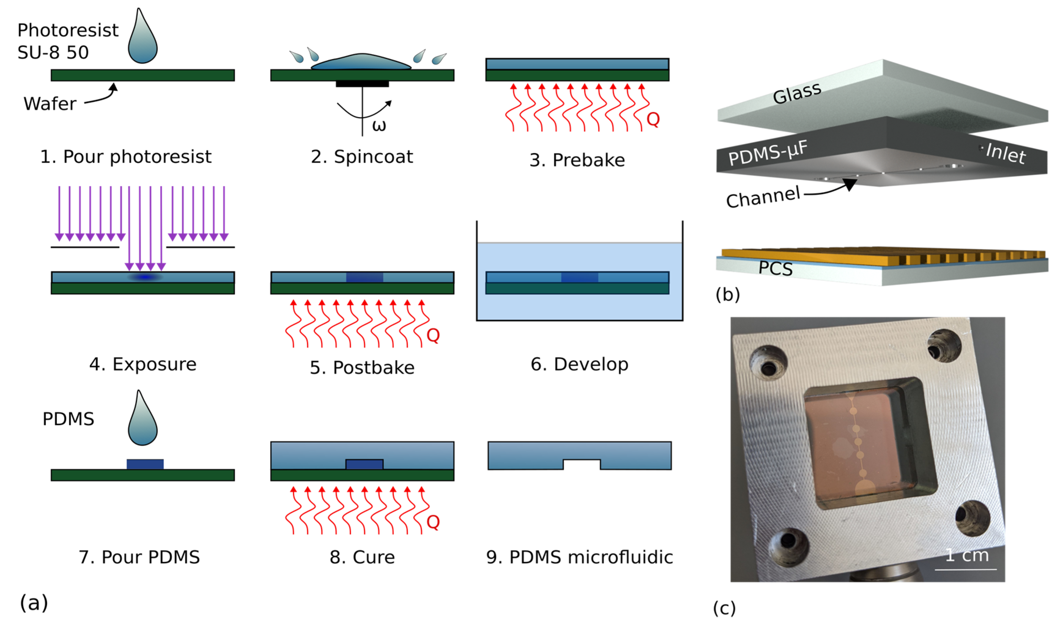 Biosensors 13 00687 g002 Biosensors 13 00687 g002