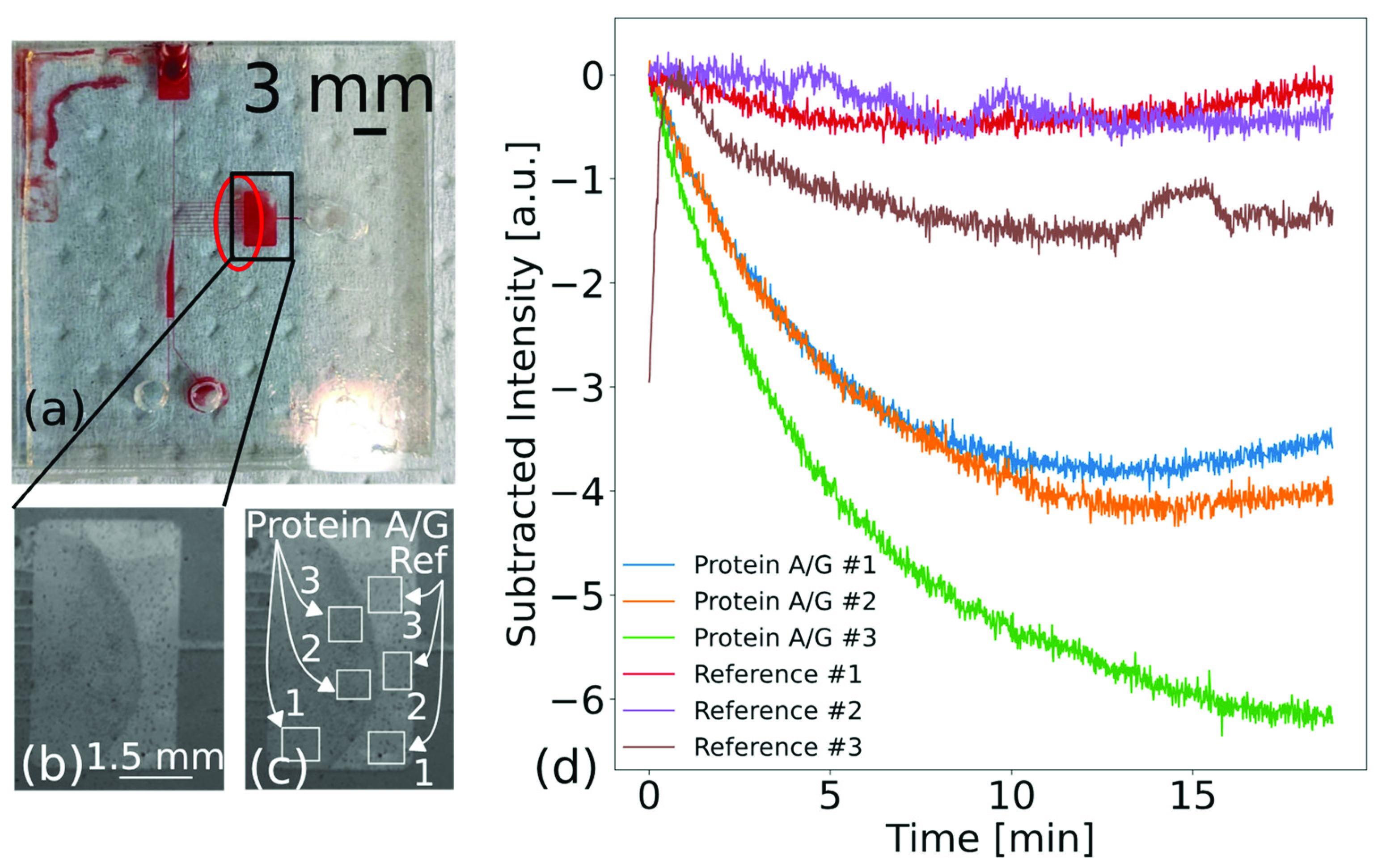 Biosensors 13 00687 g008 Biosensors 13 00687 g008