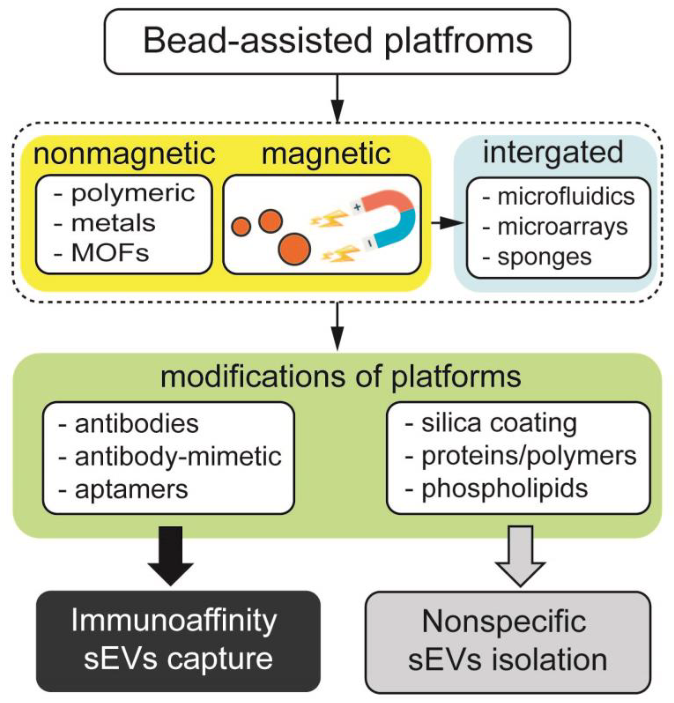 Biosensors | Free Full-Text | Progress in Isolation and Molecular Profiling  of Small Extracellular Vesicles via Bead-Assisted Platforms