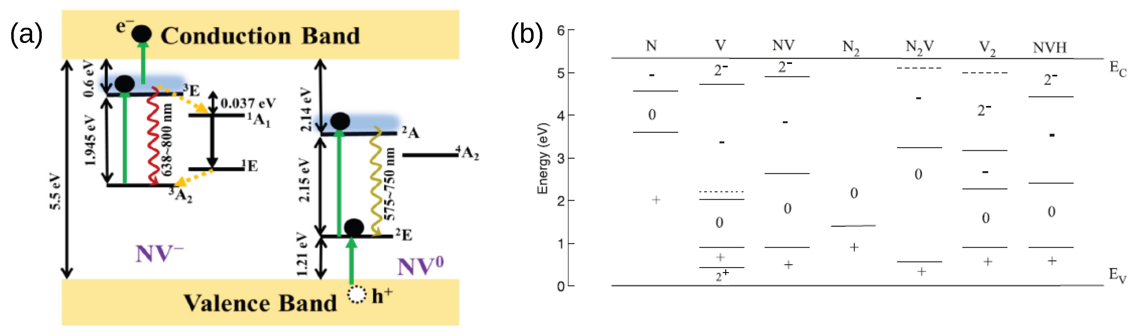 Biosensors 13 00691 g001 Biosensors 13 00691 g001