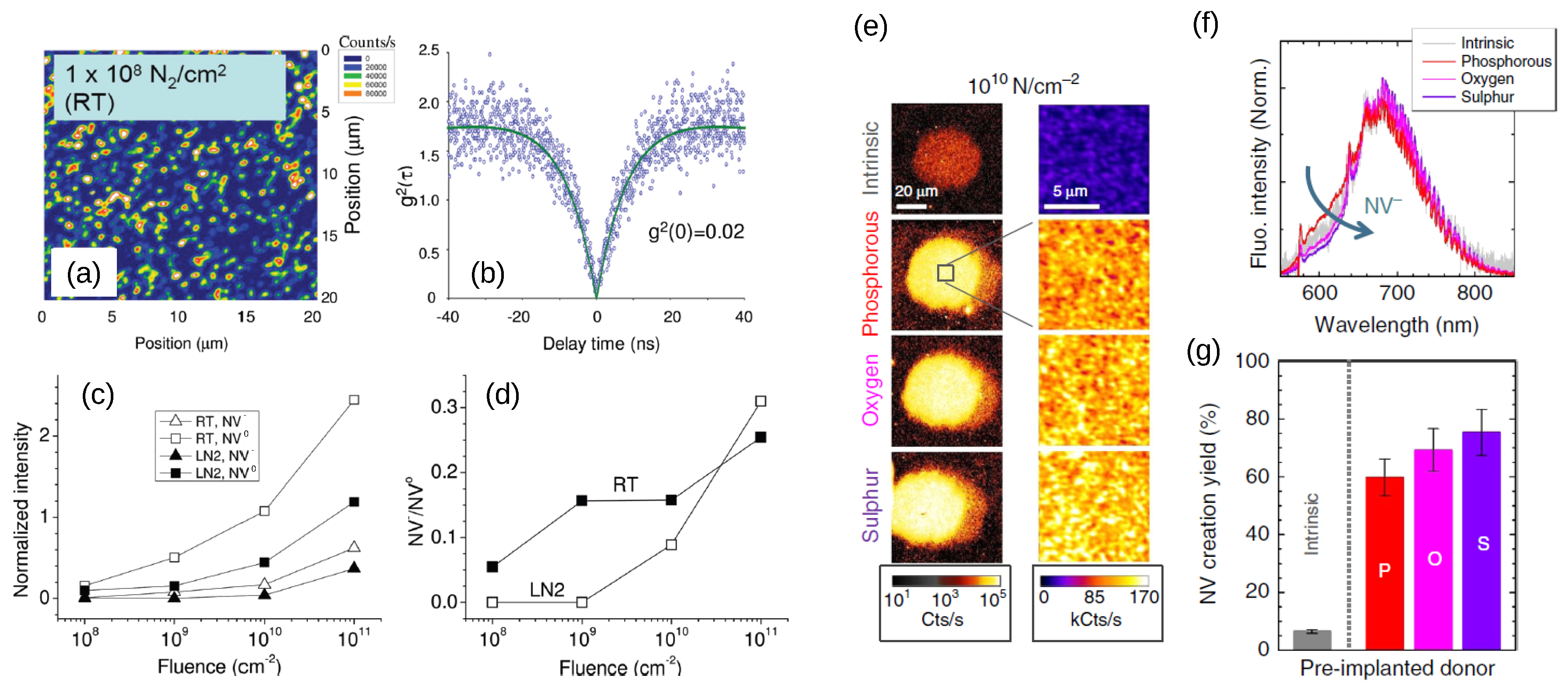 Biosensors 13 00691 g003 Biosensors 13 00691 g003