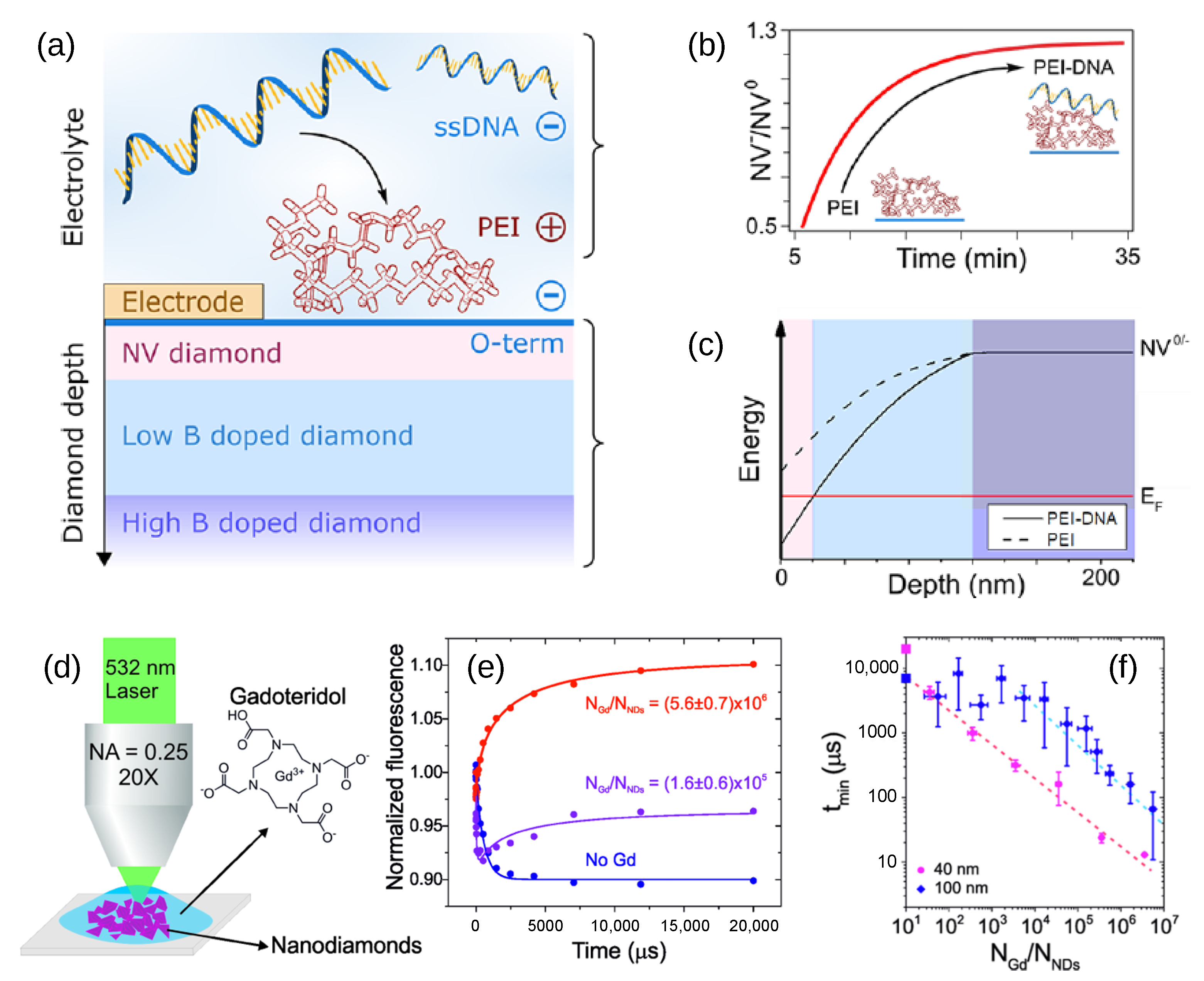 Biosensors 13 00691 g008 Biosensors 13 00691 g008